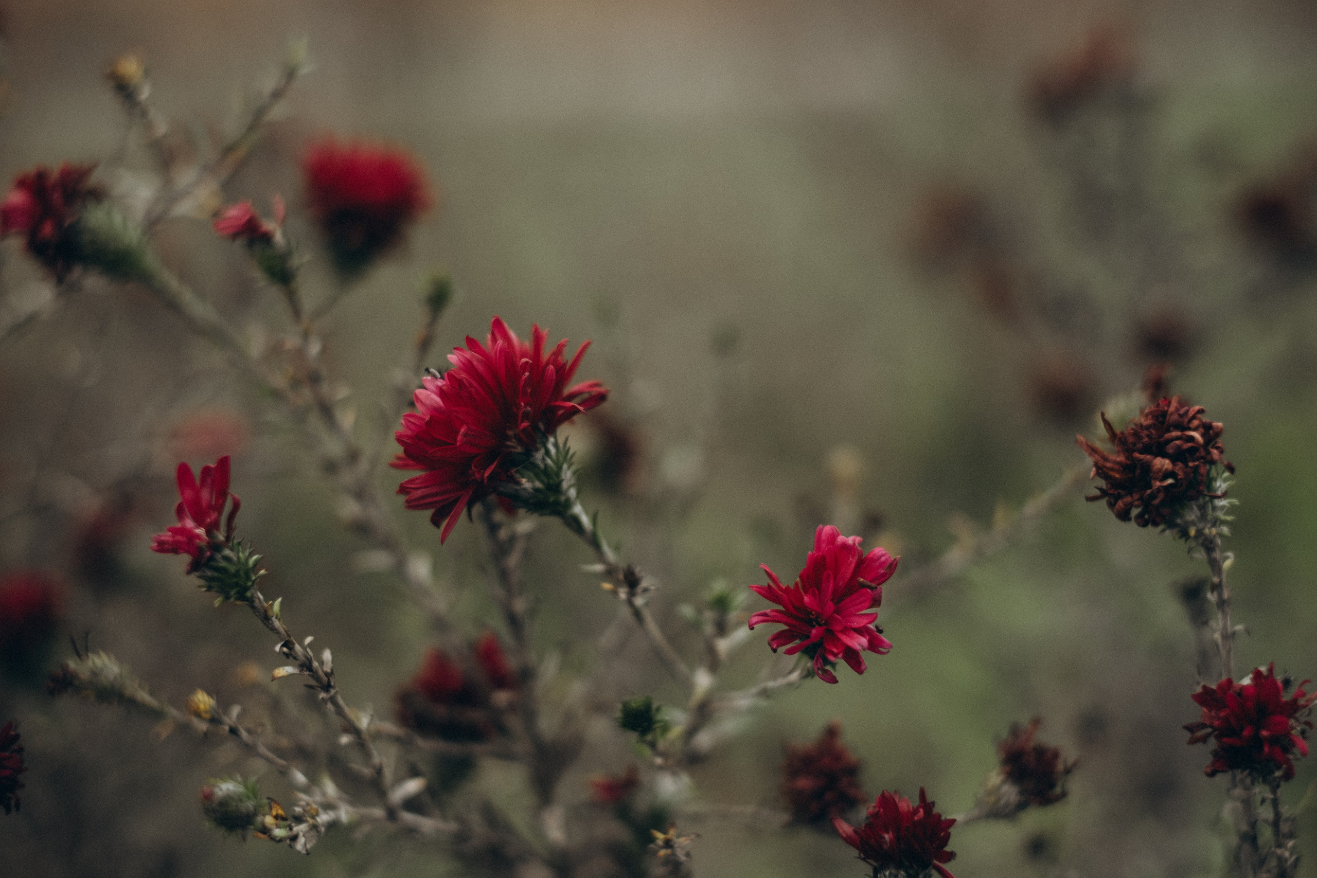 Таня и Ника. Семейный фотограф в Ростове-на-Дону Яна Макаренко