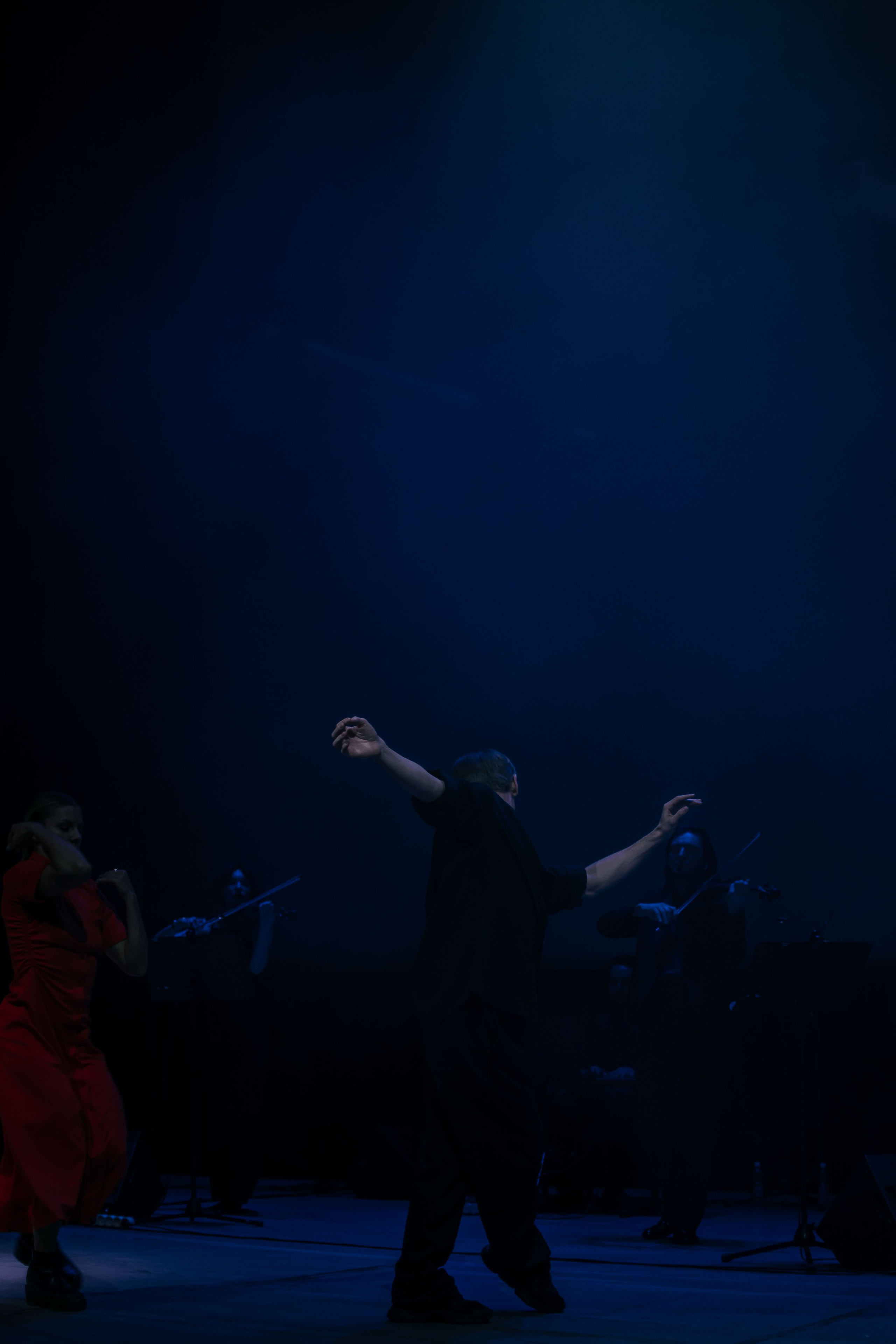 Концерт оркестра Cinematica. Репортажный фотограф в Новосибирске