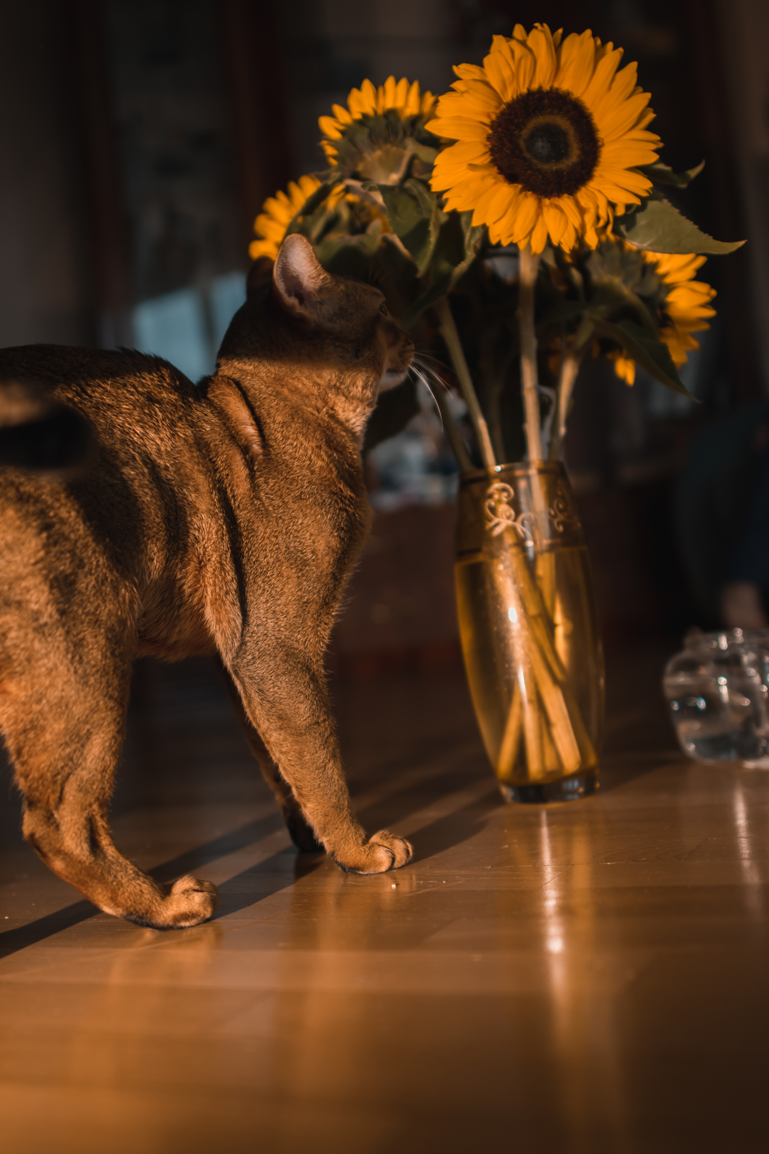 КОНТЕНТ ДЛЯ БЛОГЕРОВ И СПЕЦИАЛИСТОВ. Gorskinadarya.ru