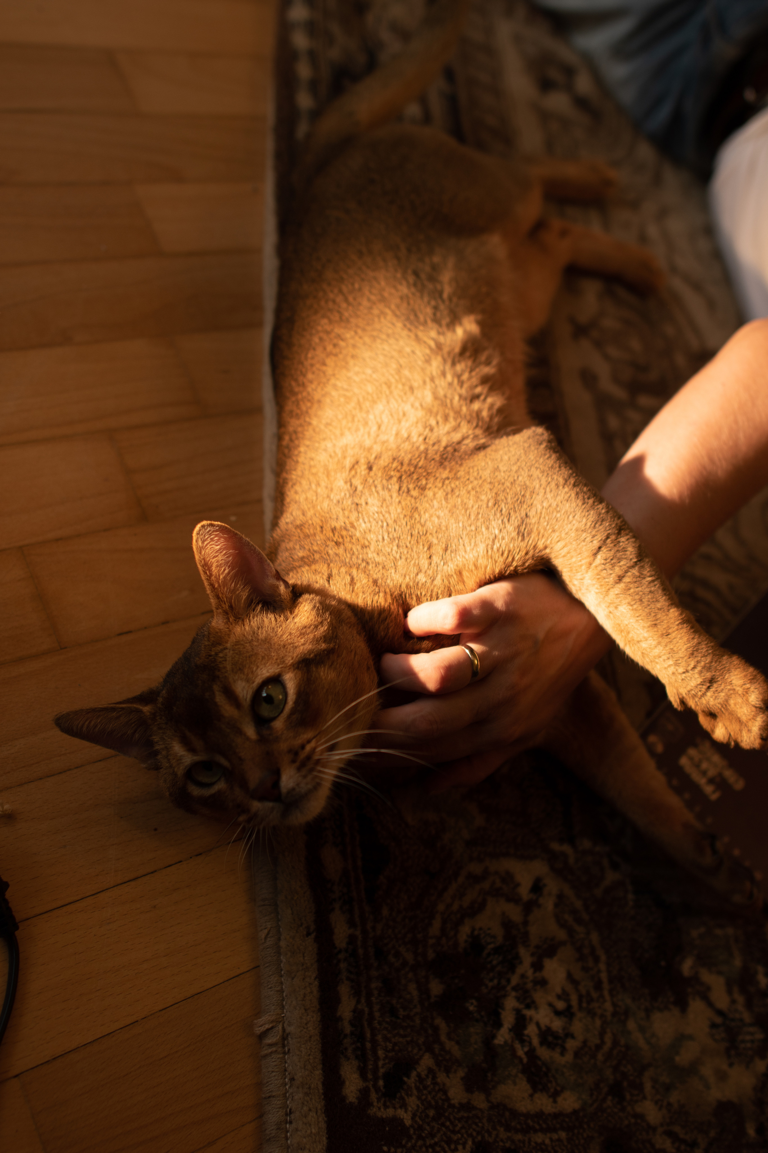 КОНТЕНТ ДЛЯ БЛОГЕРОВ И СПЕЦИАЛИСТОВ. Gorskinadarya.ru