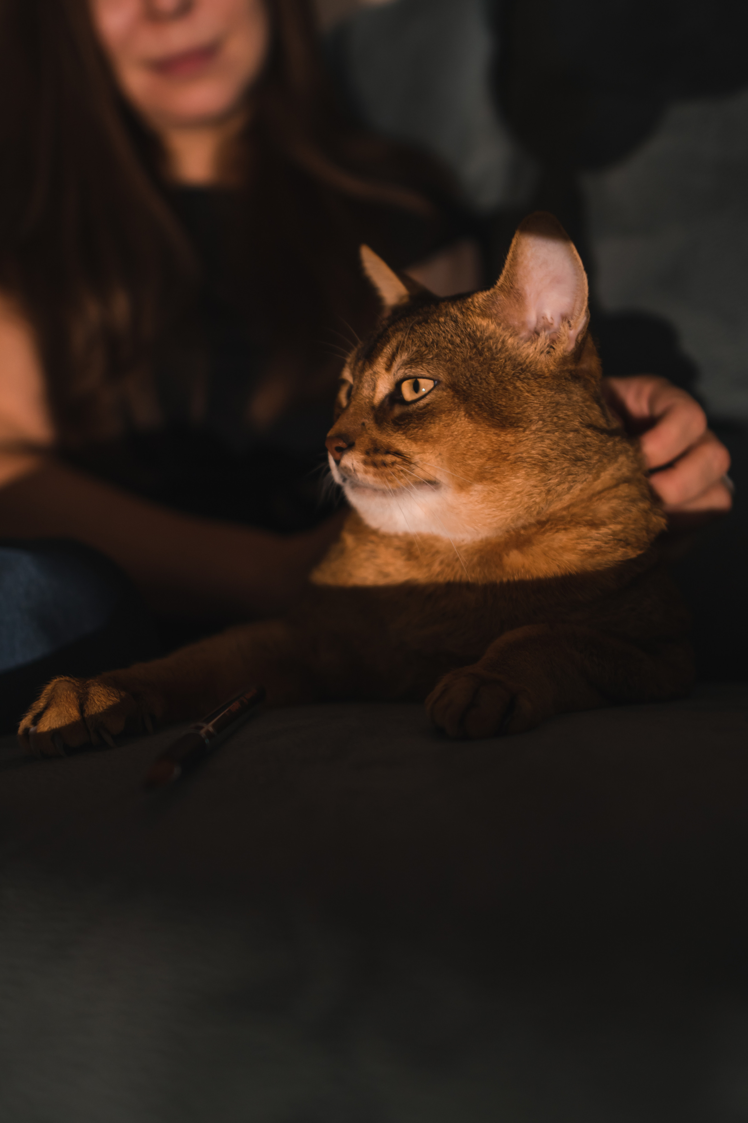 КОНТЕНТ ДЛЯ БЛОГЕРОВ И СПЕЦИАЛИСТОВ. Gorskinadarya.ru