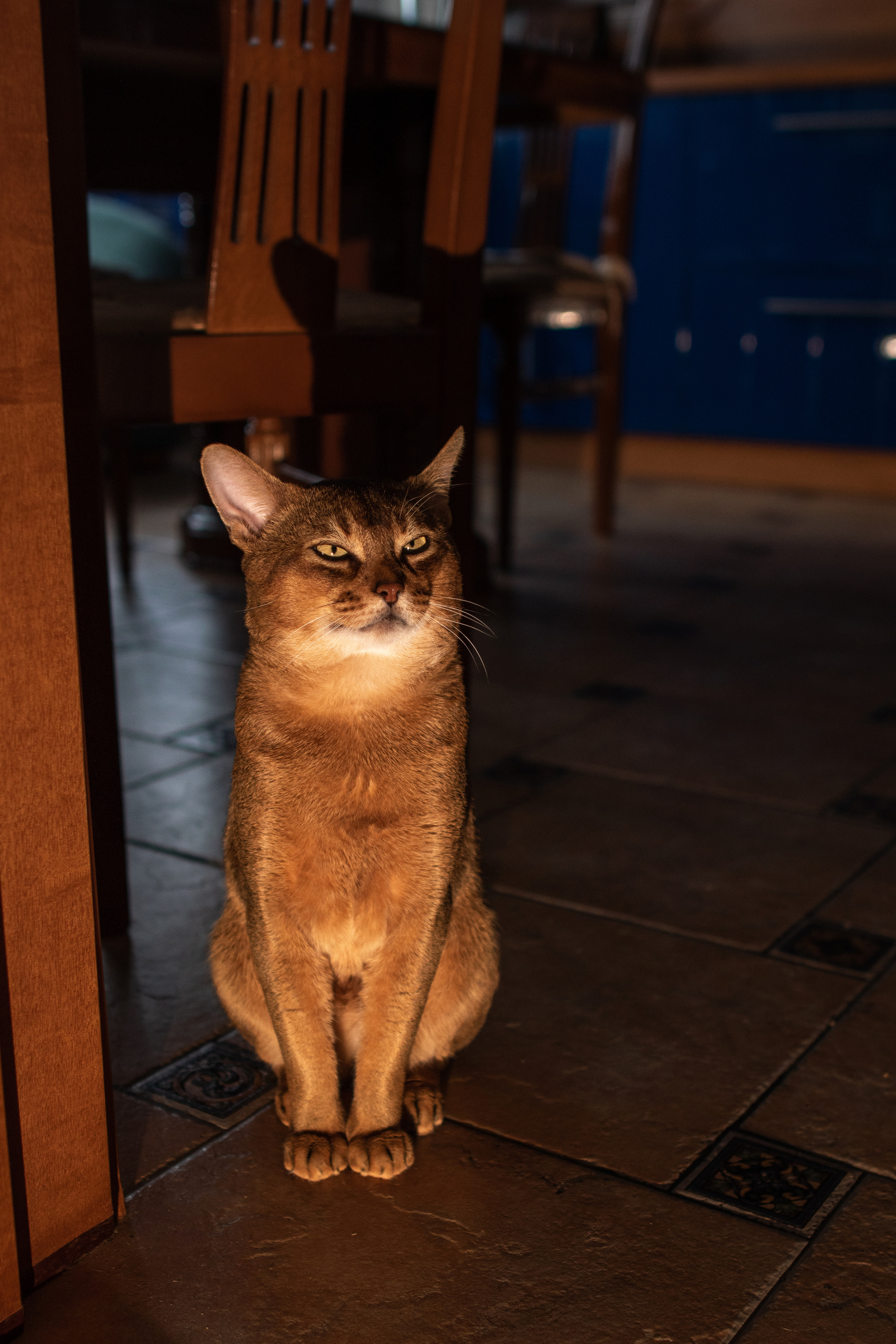 КОНТЕНТ ДЛЯ БЛОГЕРОВ И СПЕЦИАЛИСТОВ. Gorskinadarya.ru