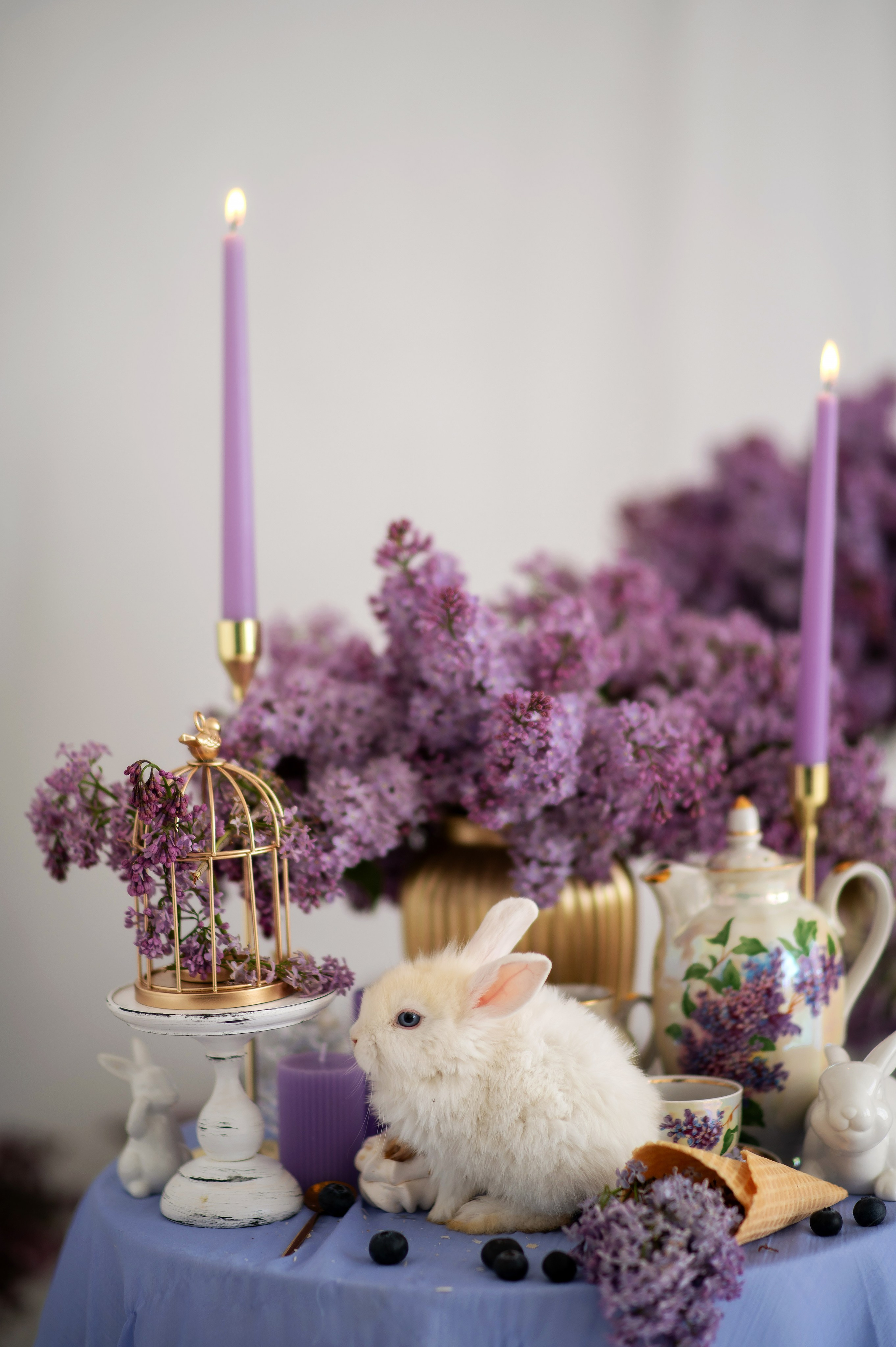 «Сирень». Детский и семейный фотограф Москва Рязань