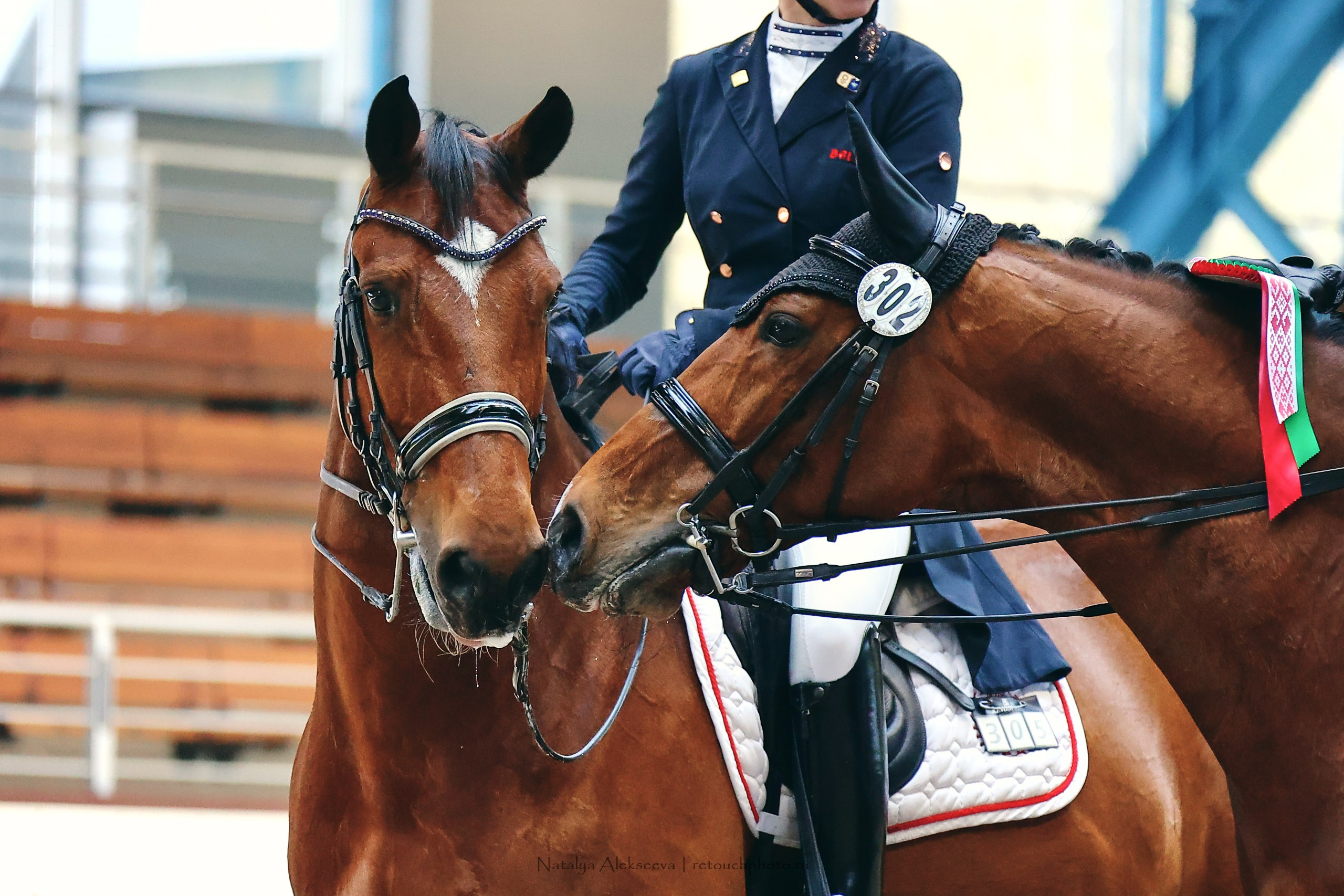 Этап Кубка Евразии по выездке, Минск | 04'2023. Репортажный фотограф и ретушер в Москве Наталья Алексеева