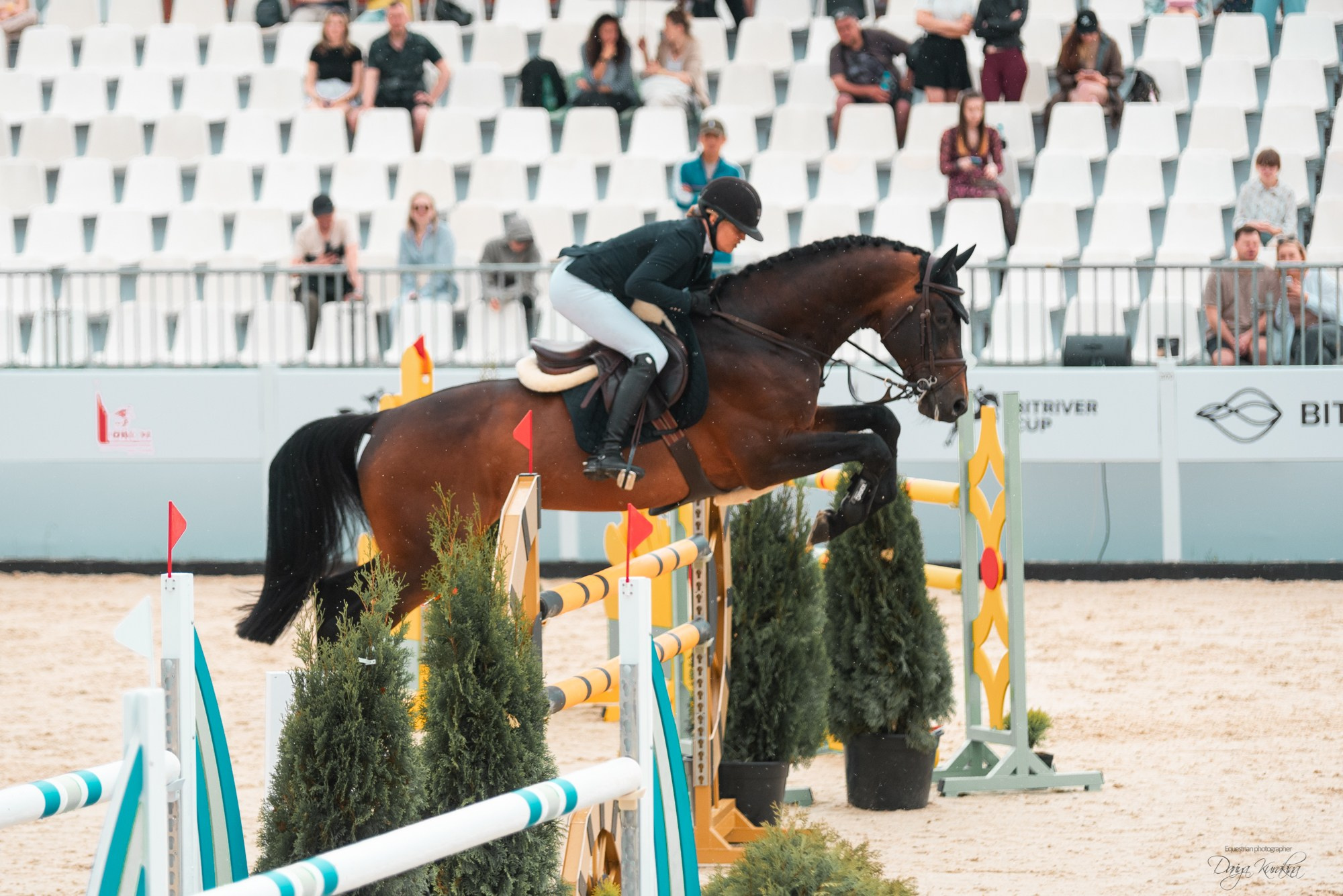 BITRIVER CUP 2023. Конный фотограф Куракина Дарья • Фотосессии с лошадьми