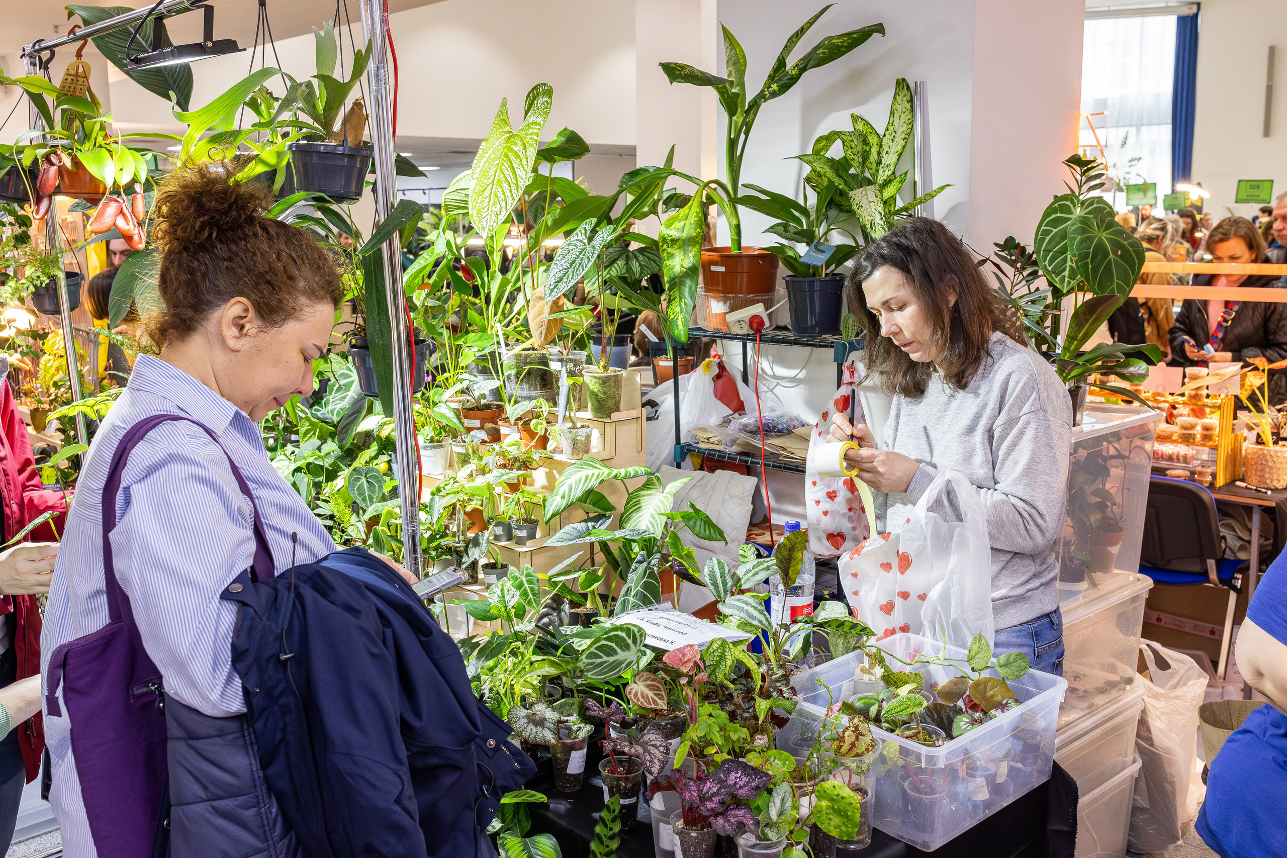 Монстериум апрель 2025. Александра Куликова фотограф, Москва