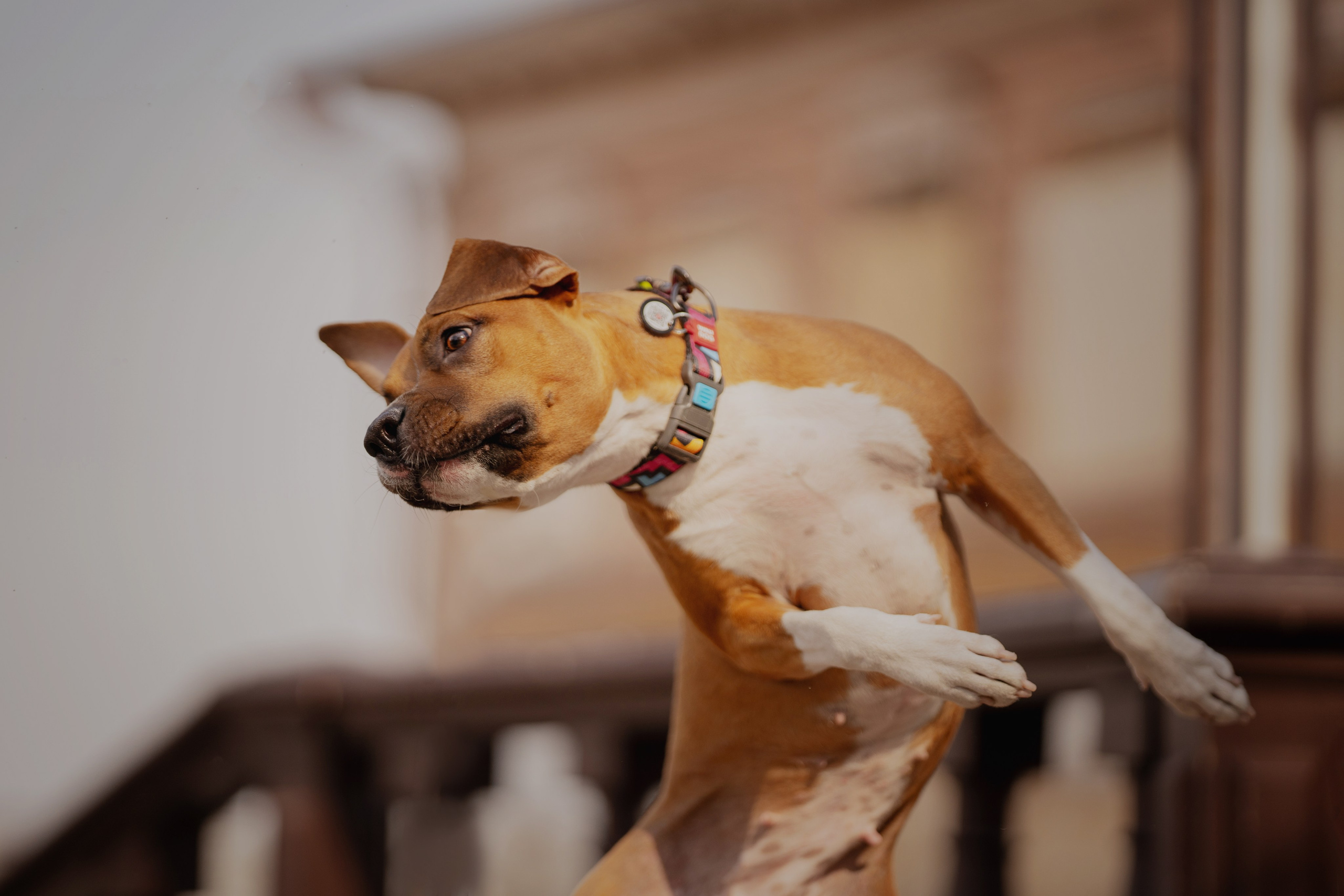 Луна. Kameramotor74