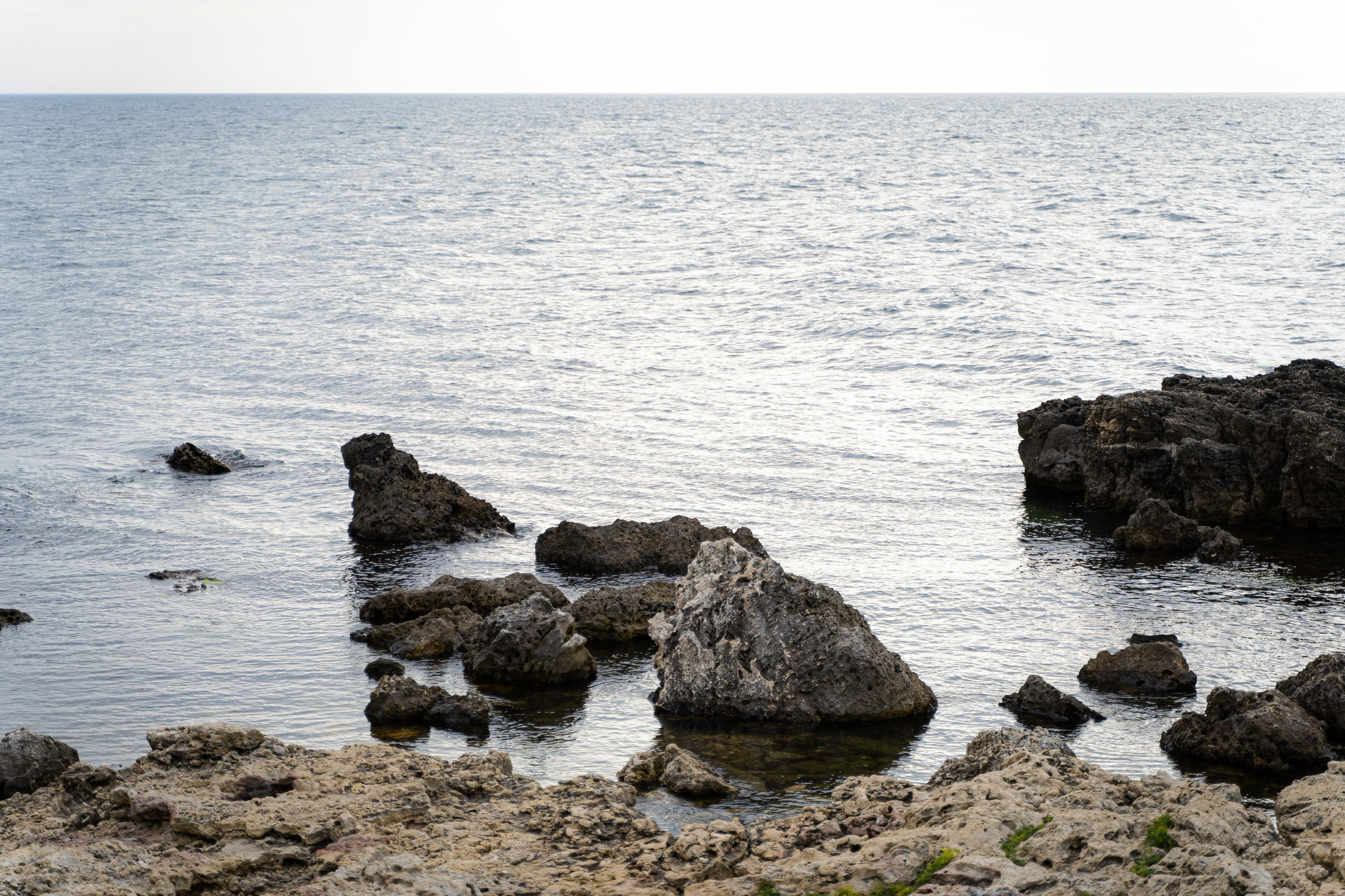 Анастасия. Кинолог, фотопрогулка. Анастасия Дунаева. Фотограф в Севастополе