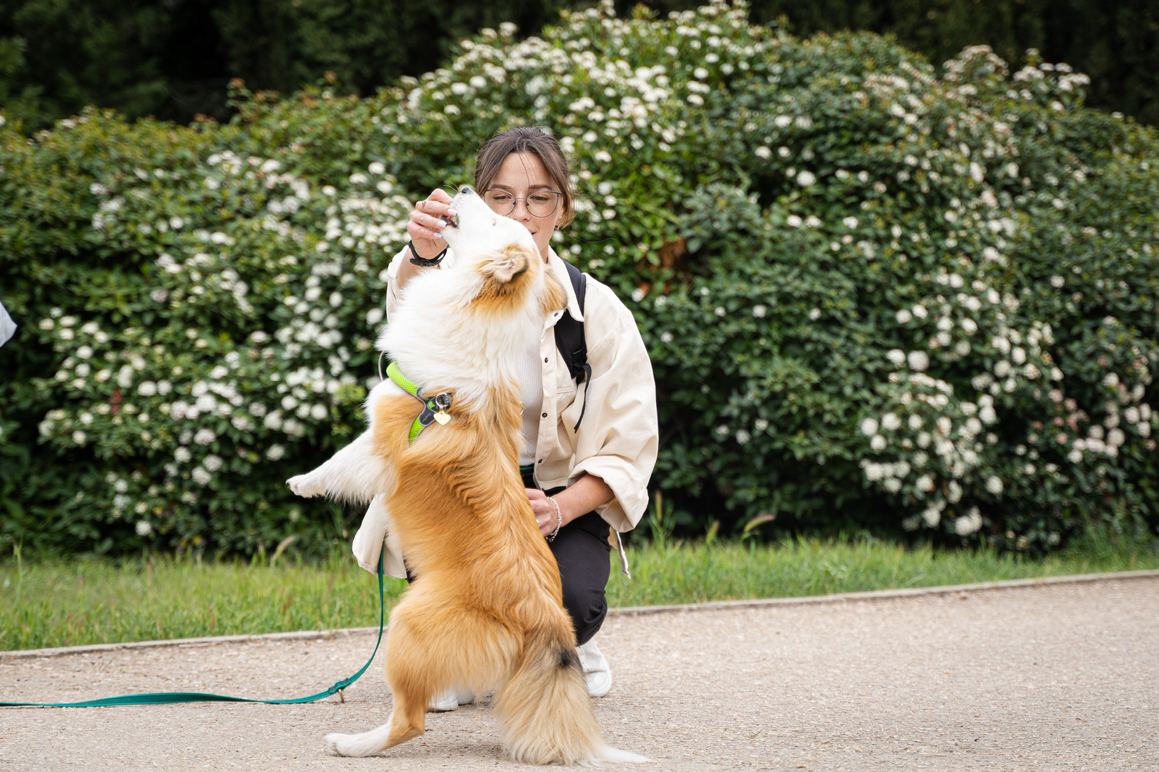 Анастасия. Кинолог, фотопрогулка. Анастасия Дунаева. Фотограф в Севастополе