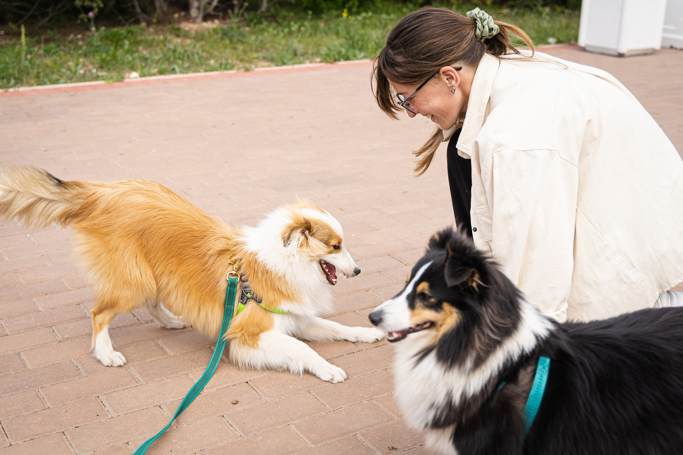 Анастасия. Кинолог, фотопрогулка. Анастасия Дунаева. Фотограф в Севастополе