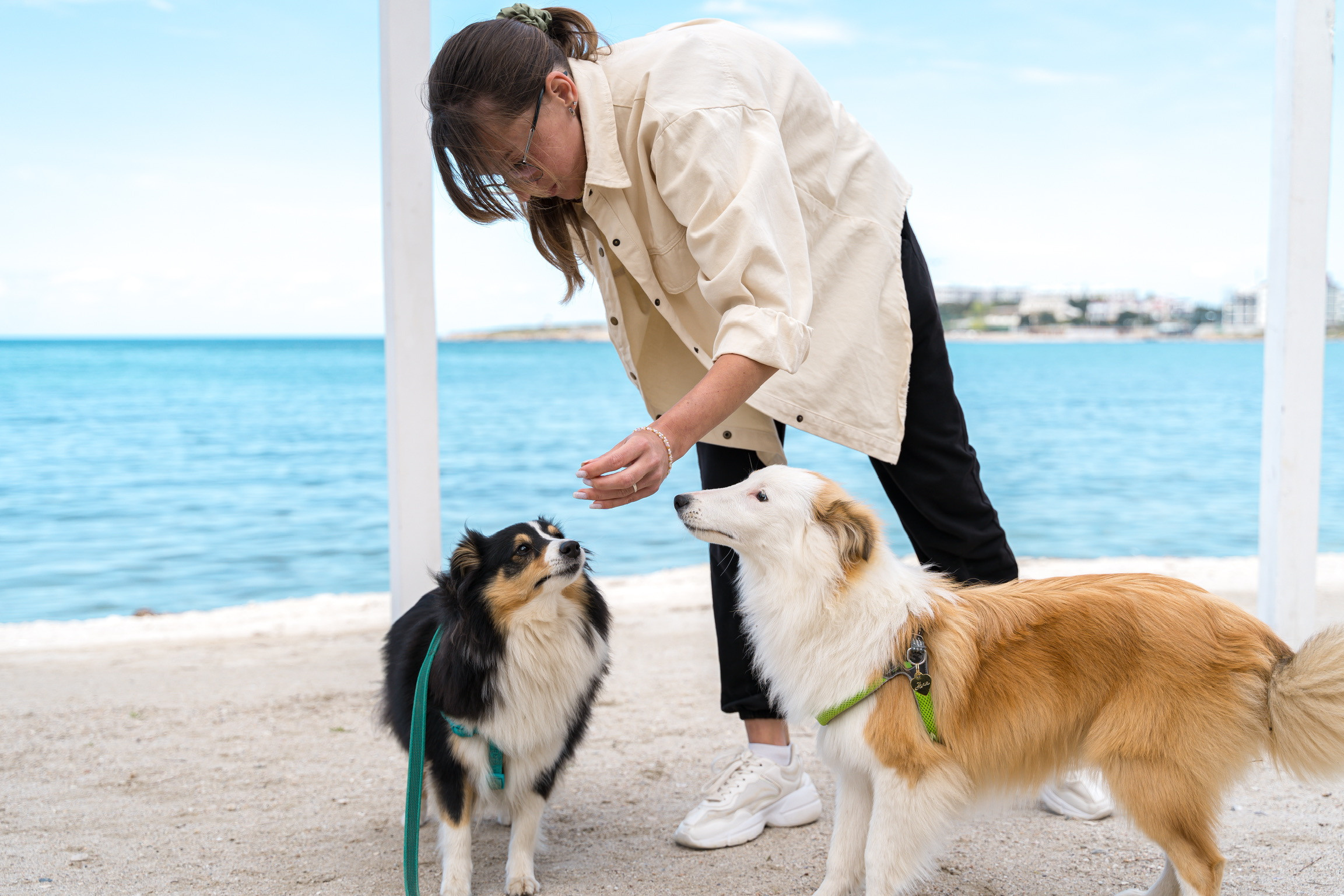 Анастасия. Кинолог, фотопрогулка. Анастасия Дунаева. Фотограф в Севастополе