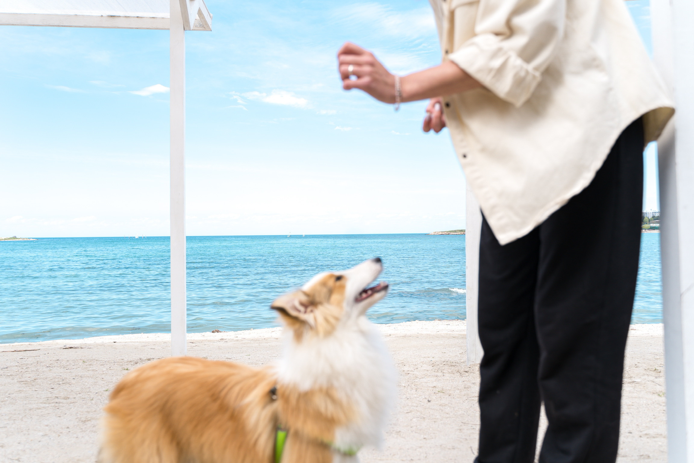 Анастасия. Кинолог, фотопрогулка. Анастасия Дунаева. Фотограф в Севастополе