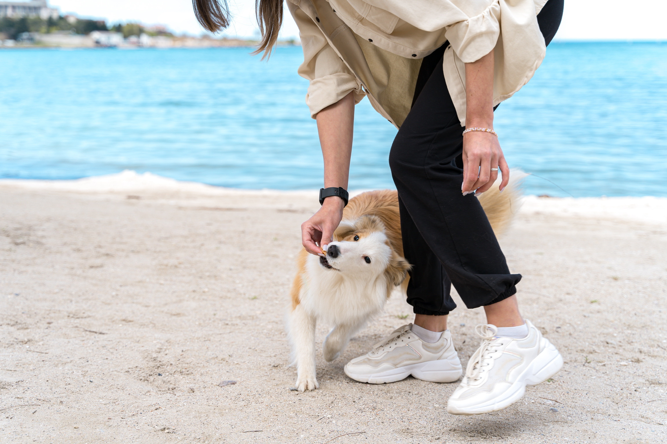 Анастасия. Кинолог, фотопрогулка. Анастасия Дунаева. Фотограф в Севастополе