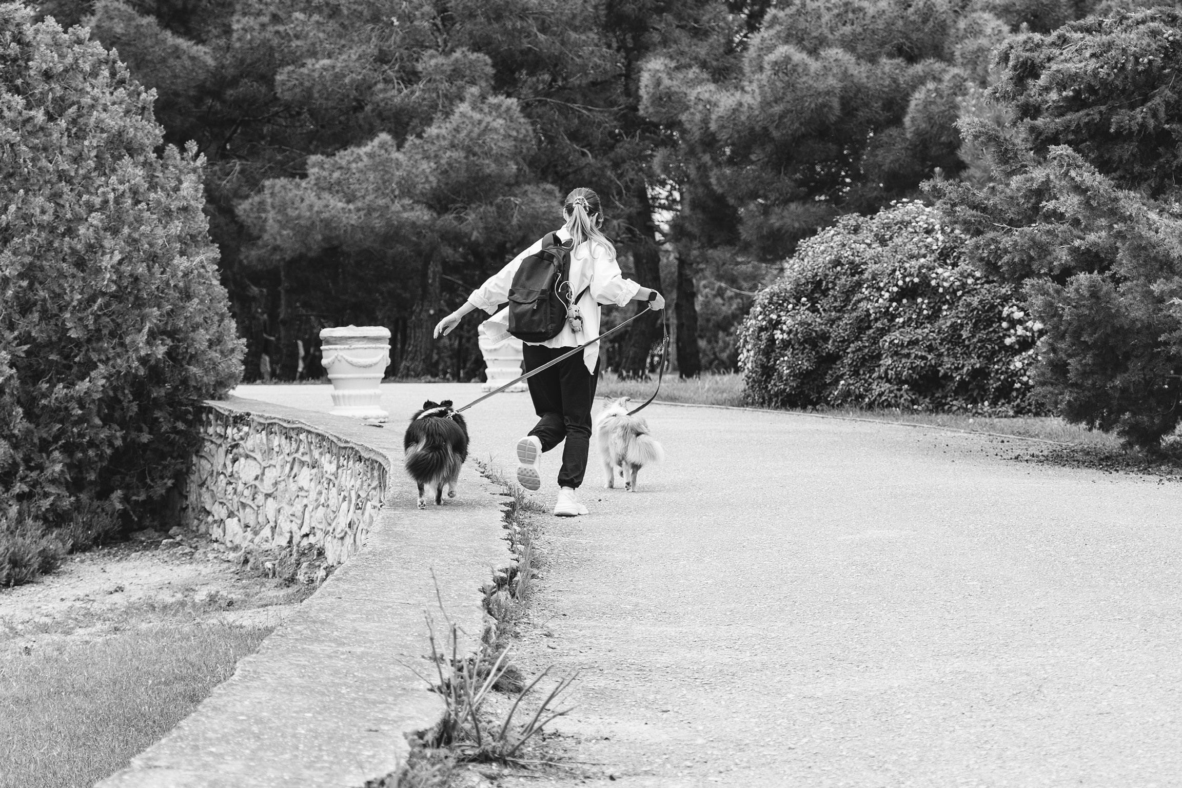 Анастасия. Кинолог, фотопрогулка. Анастасия Дунаева. Фотограф в Севастополе