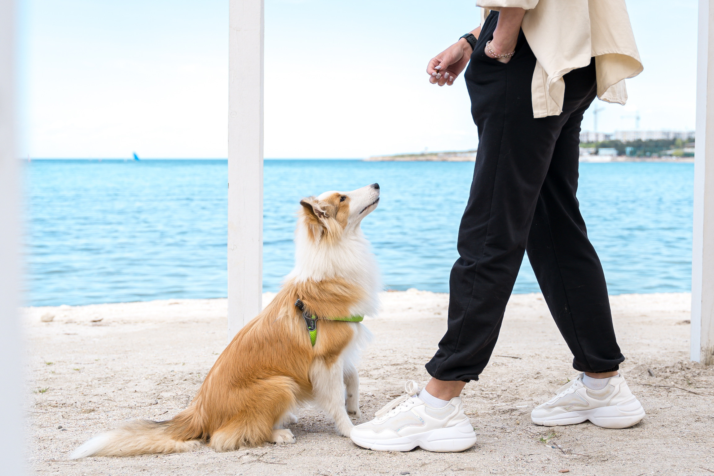 Анастасия. Кинолог, фотопрогулка. Анастасия Дунаева. Фотограф в Севастополе