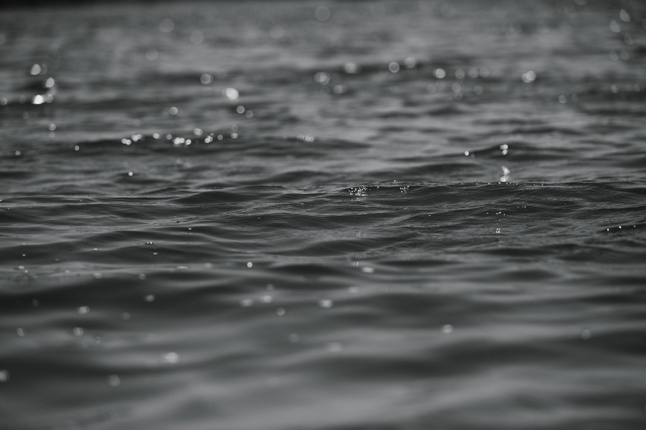 Юлия. Свадебный и портретный фотограф в Пятигорске, КМВ — Власова Юля