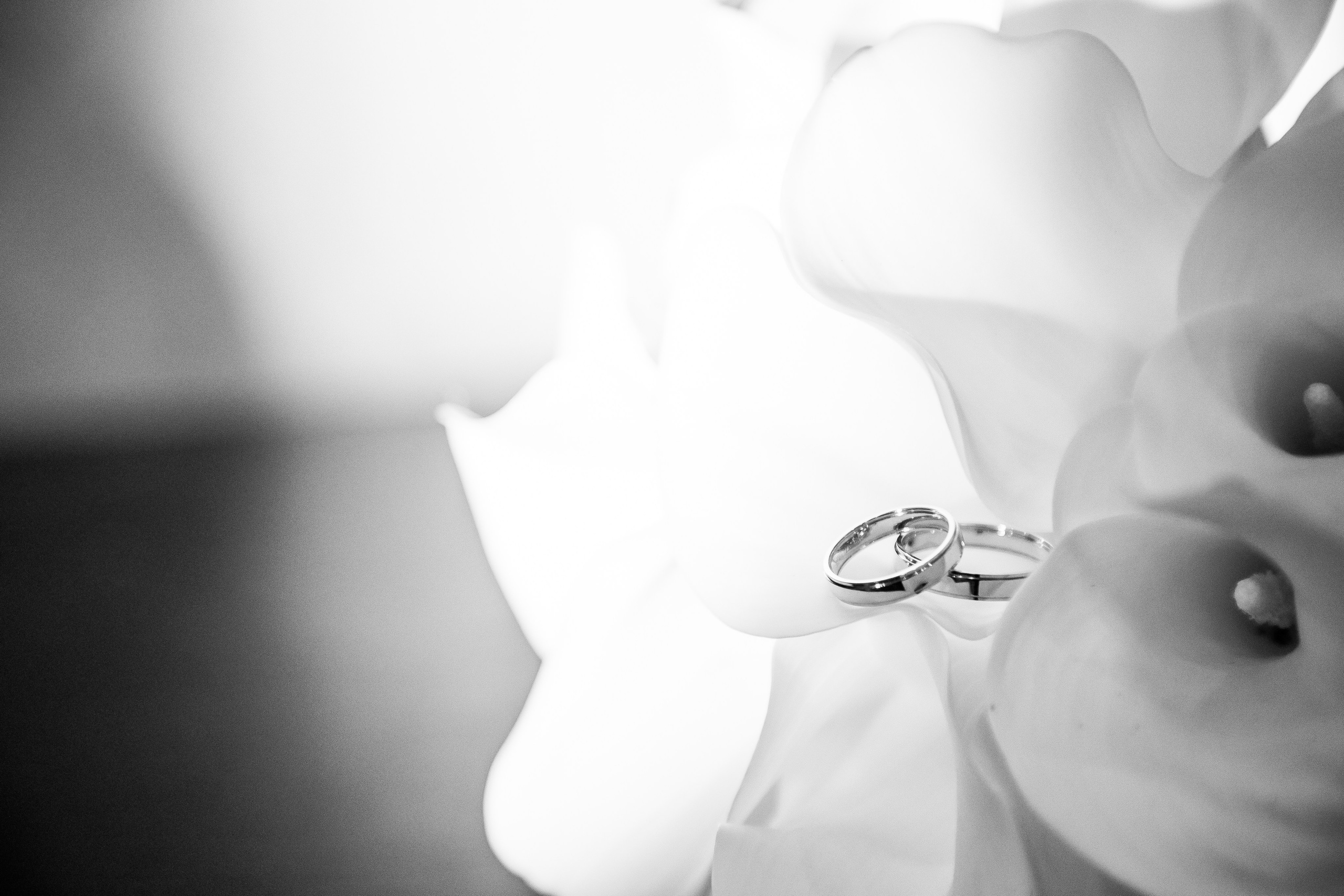 Любовный фестиваль. Артём Бачурин — свадебный фотограф Воронеж