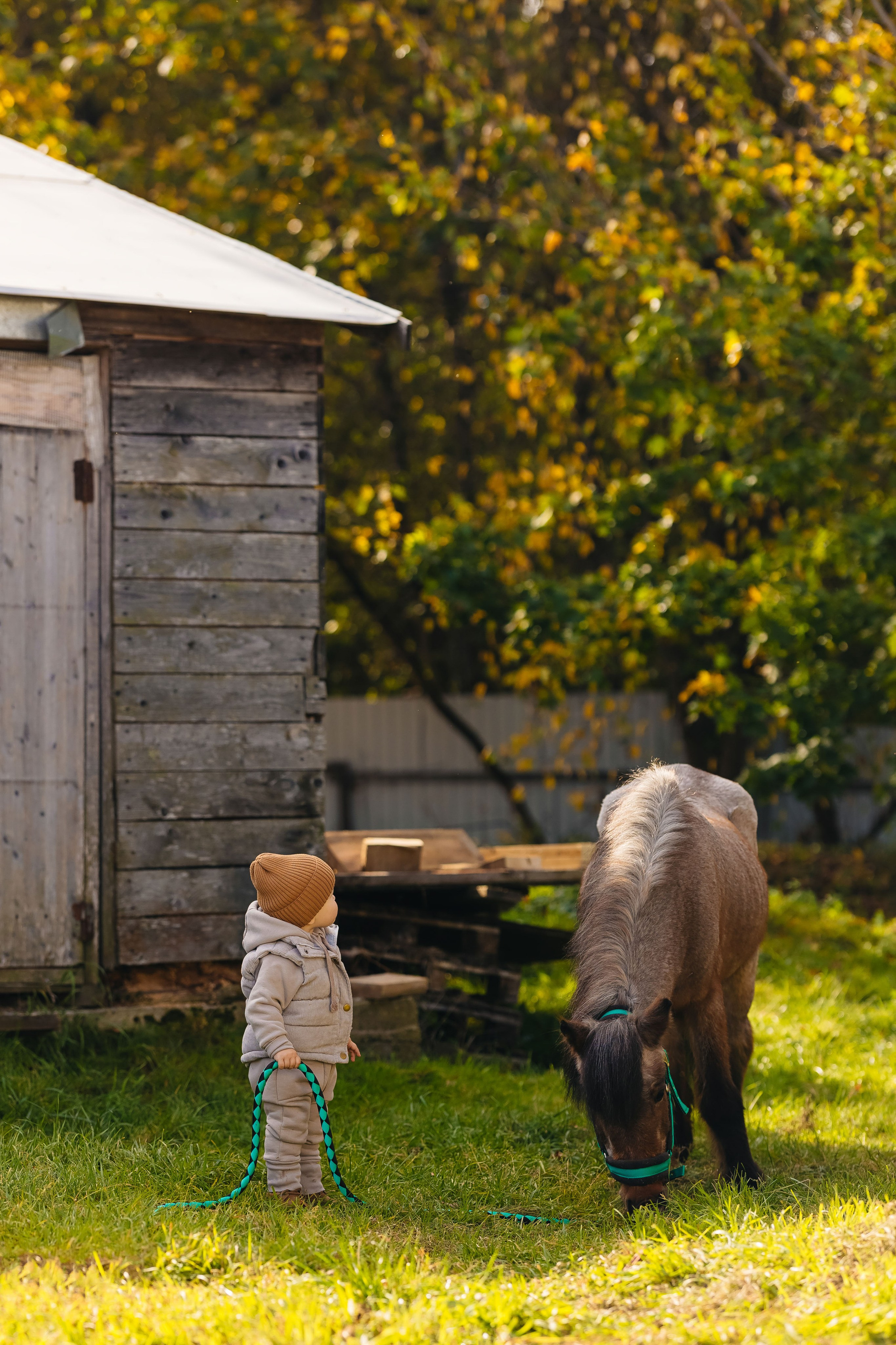 2024.10.02 Илья и лошадка. Ирина Бешляга. Фотограф в Москве и по всей России