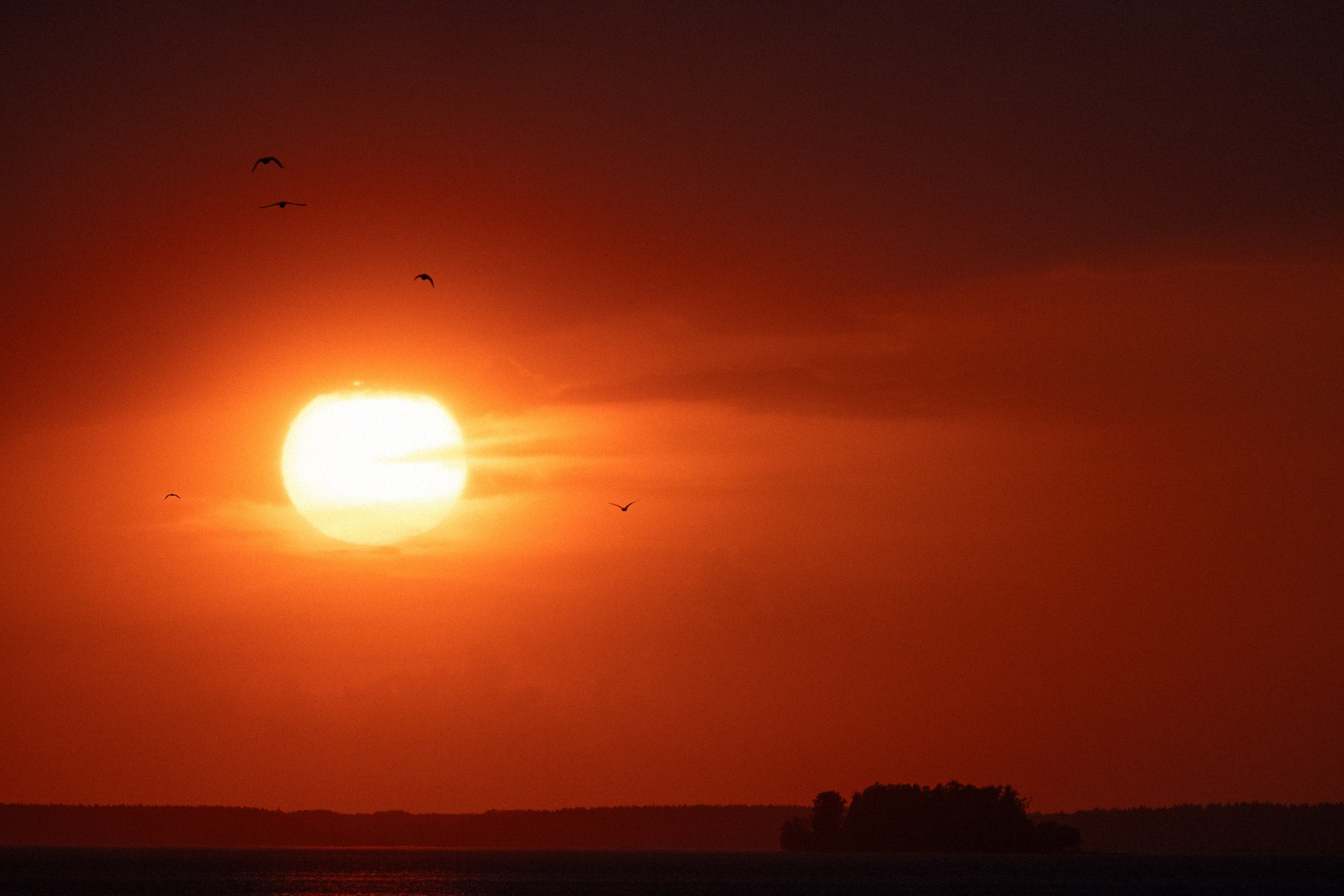 Пейзажи и урбан. Фотограф Илья Неверов