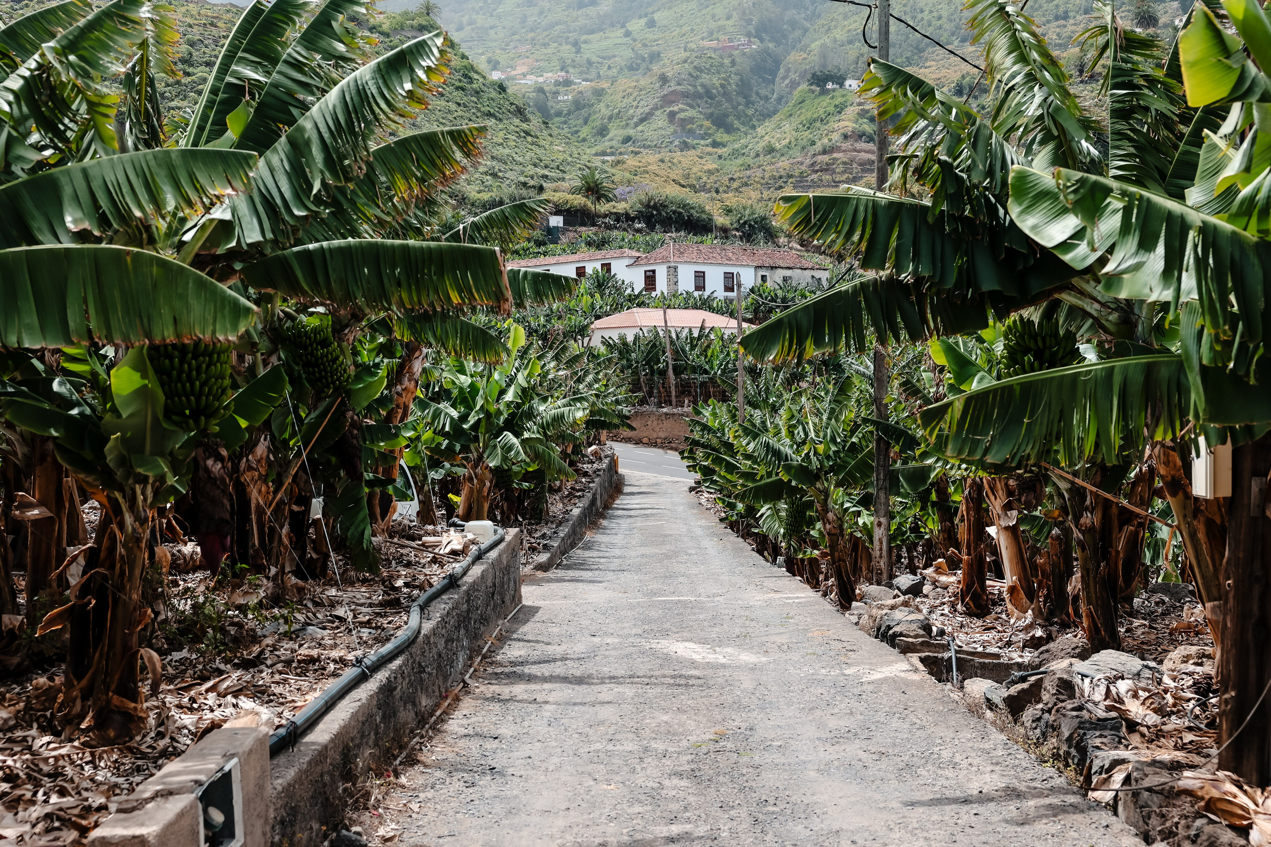 Casa Catuja. Фотограф Виктория Волкова. Москва
