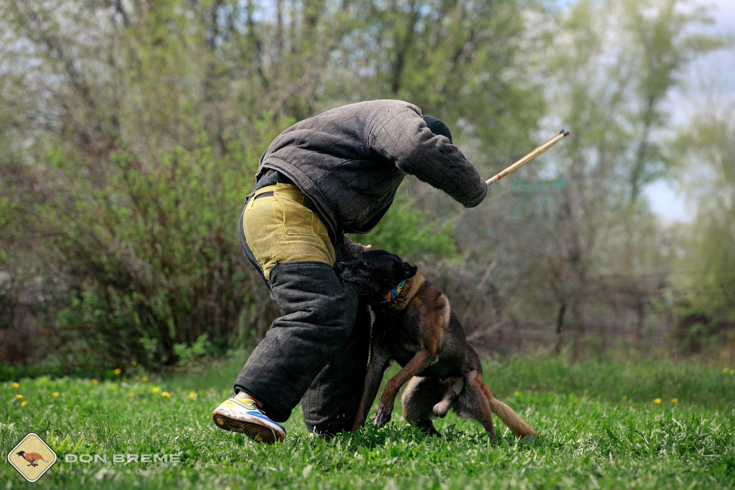 Семинар для фигурантов, день 2. Фотограф-анималист Mary Mart — Москва, Питер