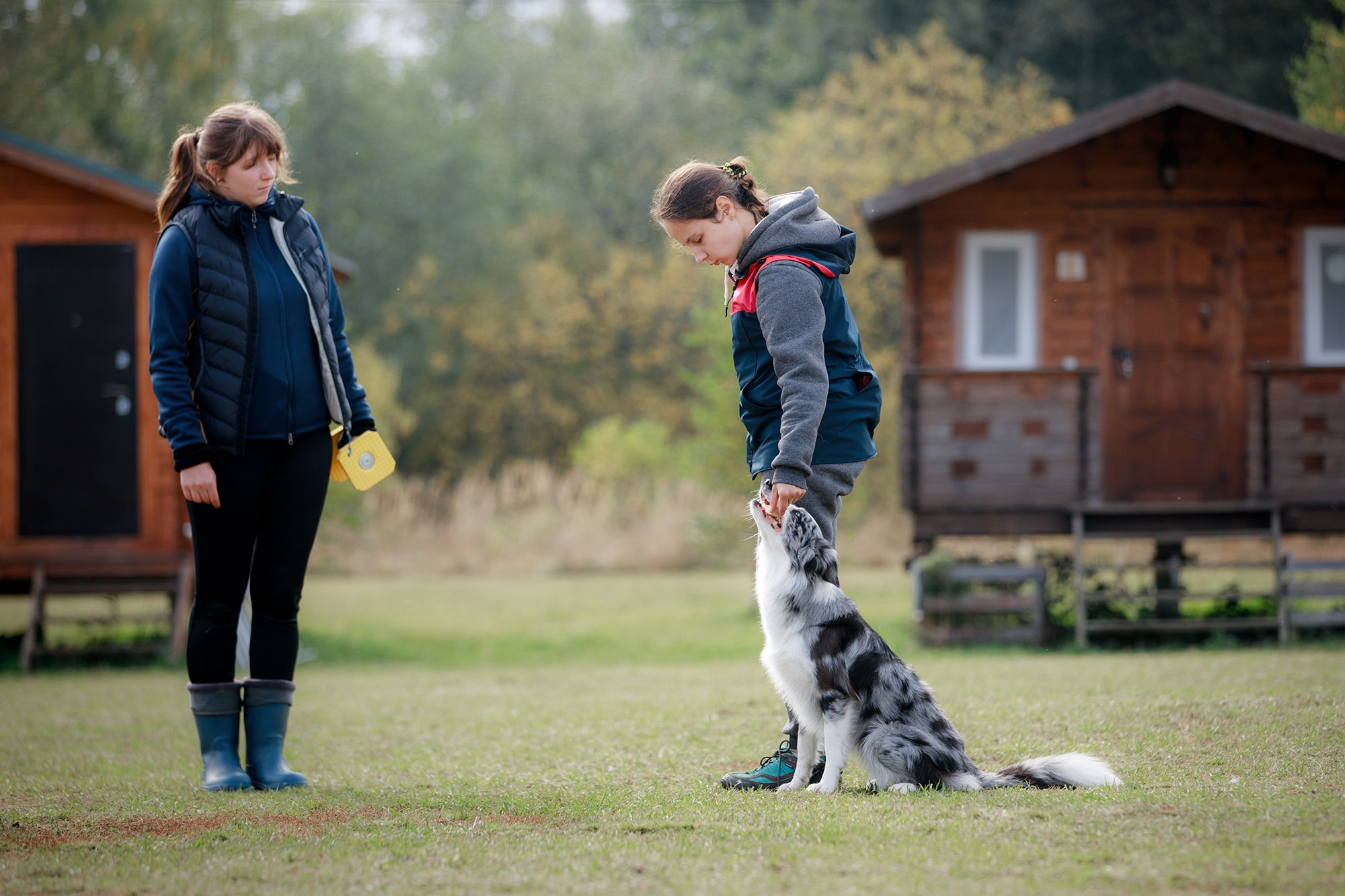 Лагерь по ОБД с Инной Баженовой. Фотограф-анималист Mary Mart — Москва, Питер