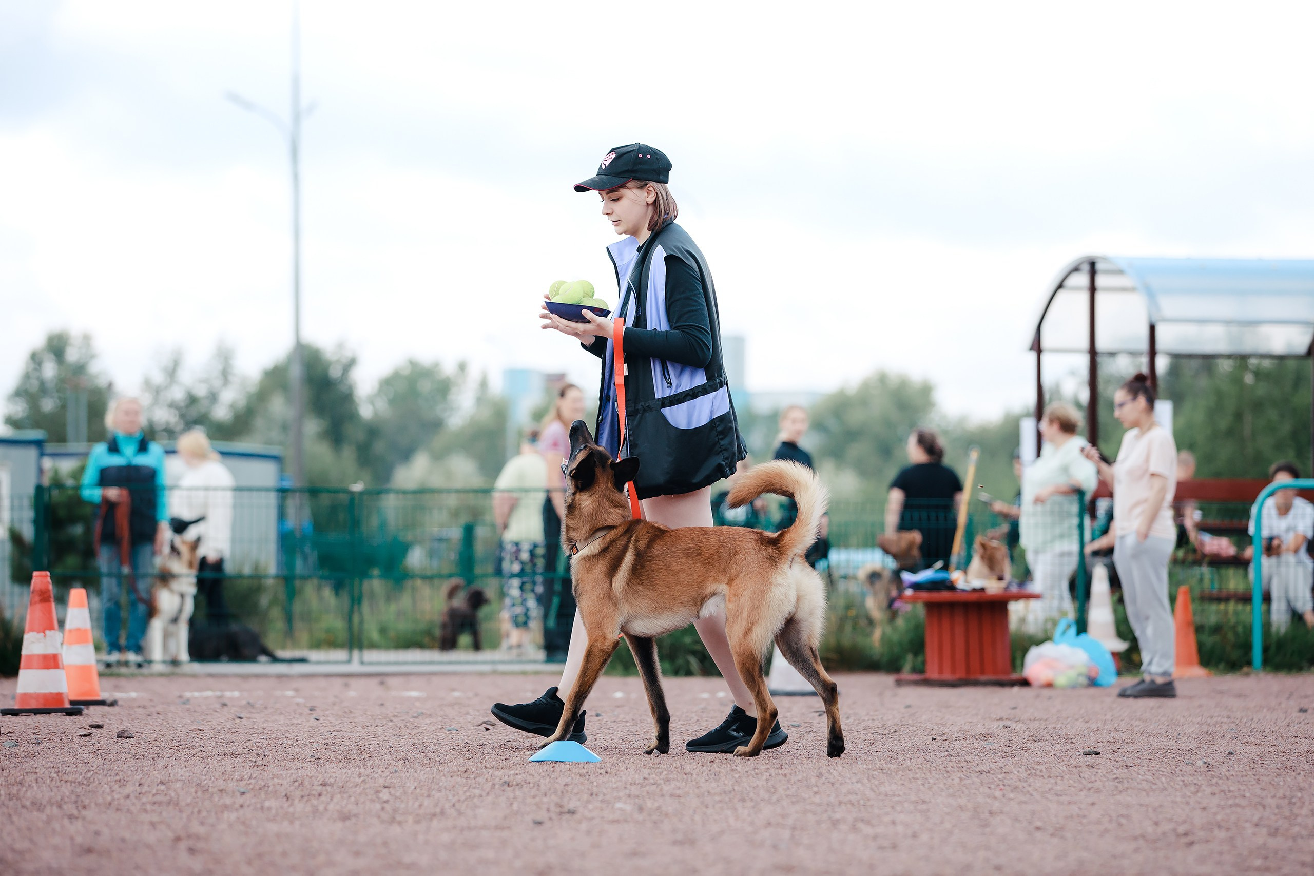 Питч&Гоу + веселые старты. Фотограф-анималист Mary Mart — Москва, Питер