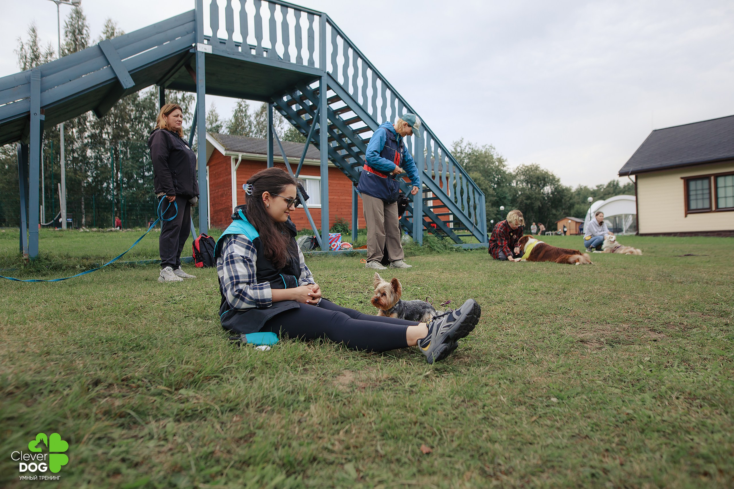 Кинологический лагерь CleverDog, 2024. Фотограф-анималист Mary Mart — Москва, Питер