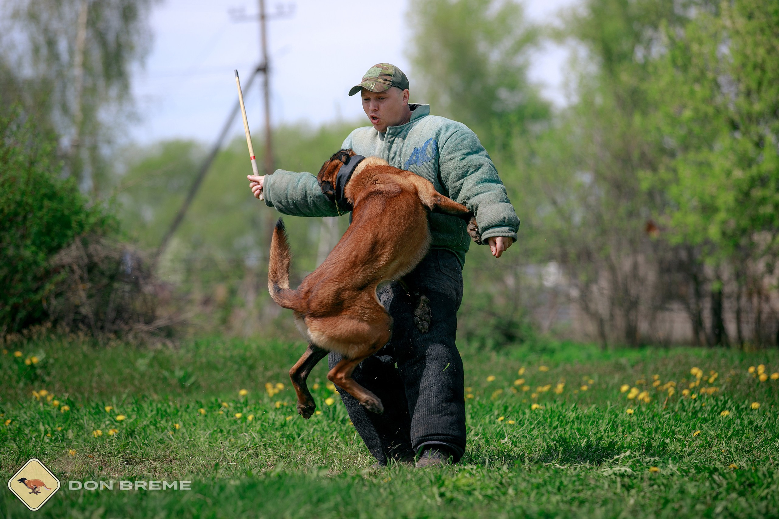 Семинар для фигурантов, день 4. Фотограф-анималист Mary Mart — Москва, Питер