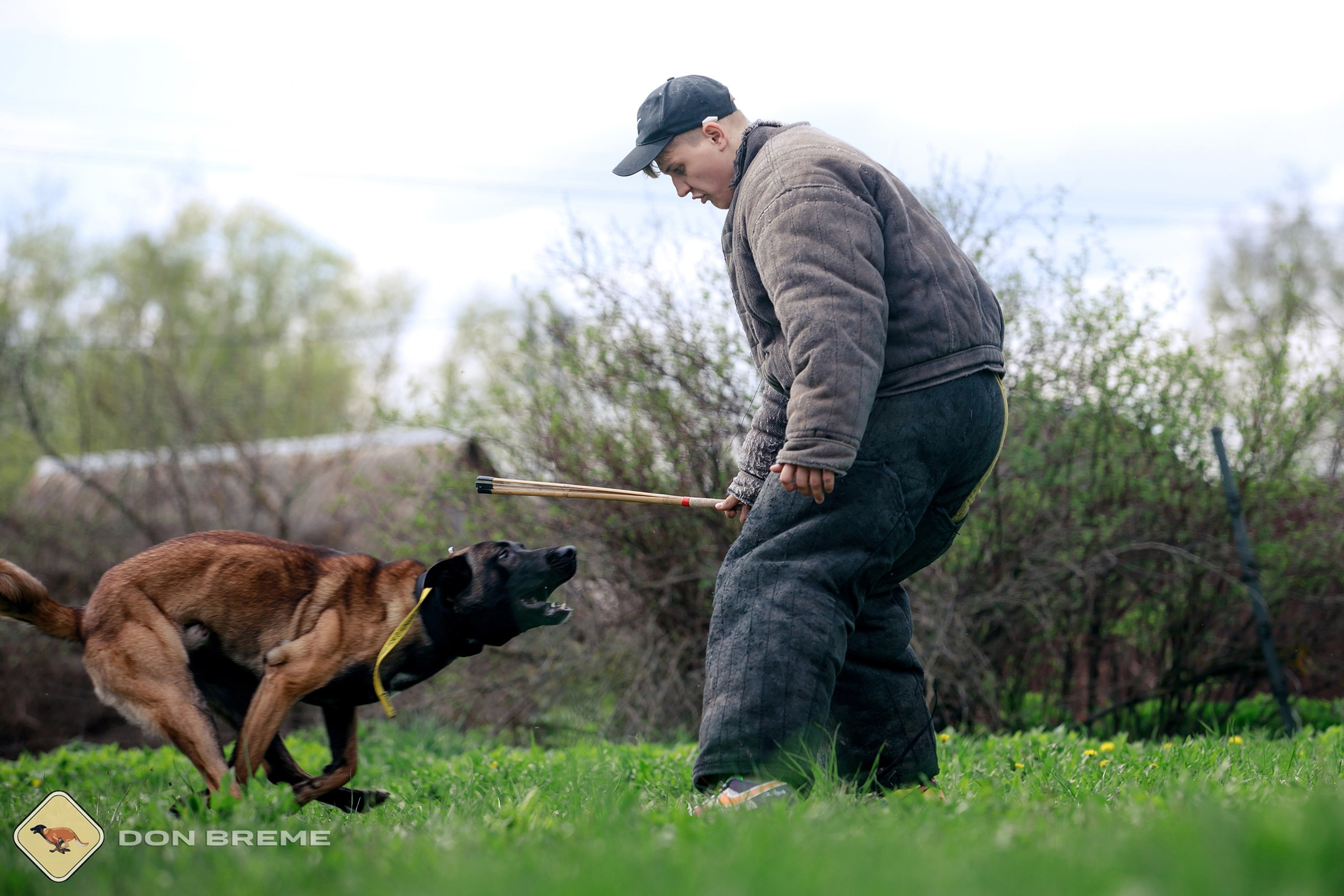 Семинар для фигурантов, день 2. Фотограф-анималист Mary Mart — Москва, Питер