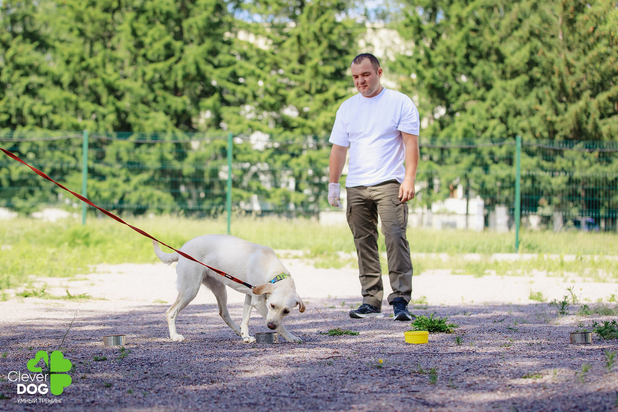 Семинар по поиску запаха с Иваном Ломовым, организатор CleverDog, СПб. Фотограф-анималист Mary Mart — Москва, Питер