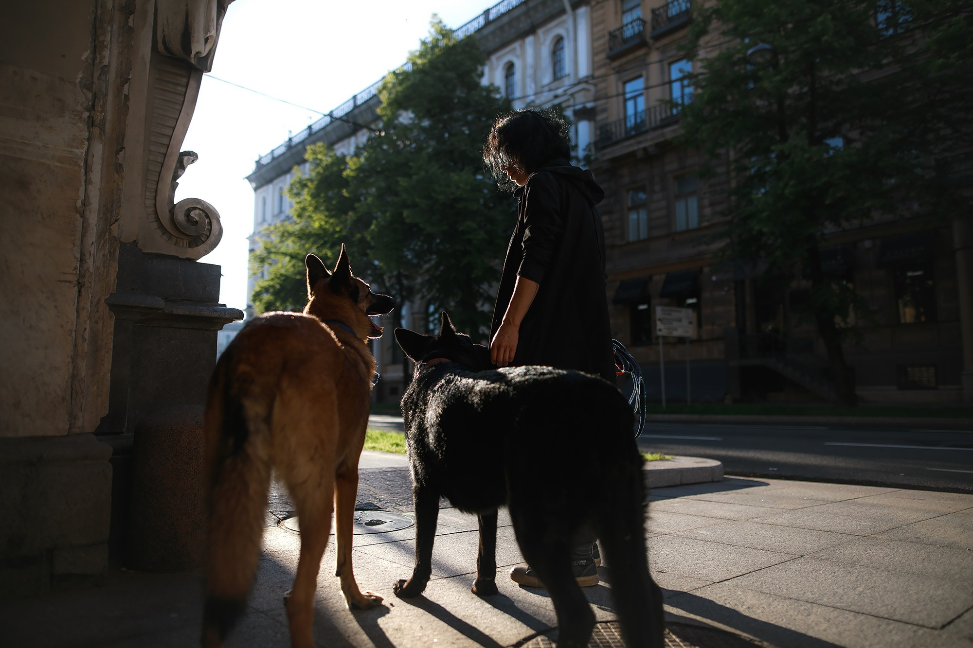 Алена, Кай и Мара. Фотограф-анималист Mary Mart — Москва, Питер