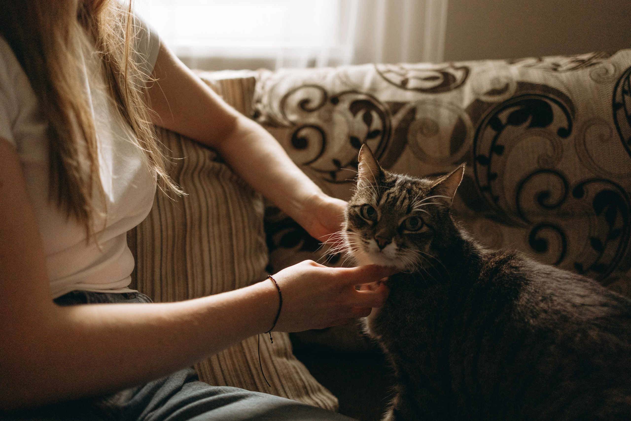 Софа и ее хвостики. Фотограф — Анималист | Санкт-Петербург