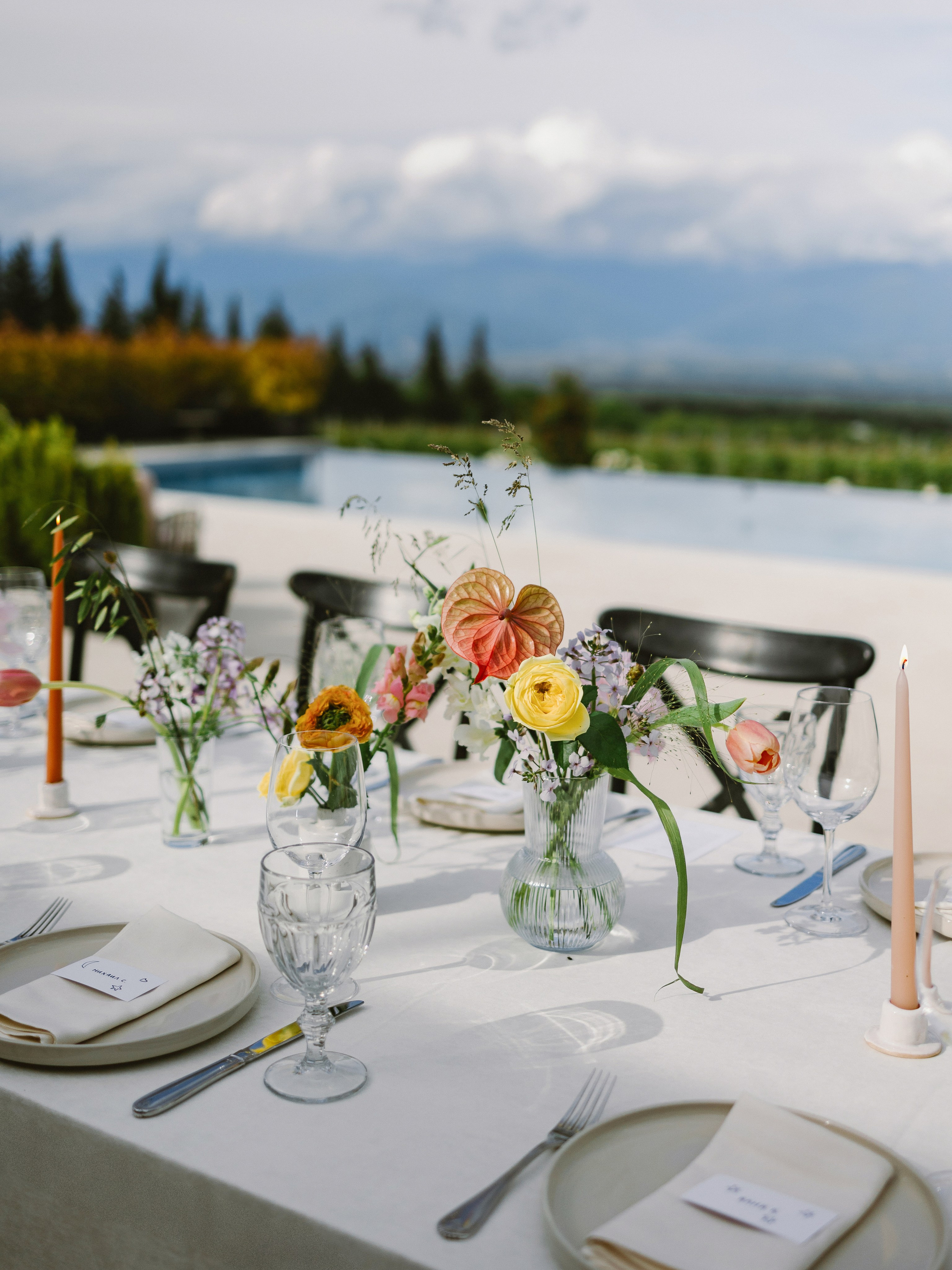 Ira & Gosha • Vazisubani estate. Anna Fridenberg | wedding photographer