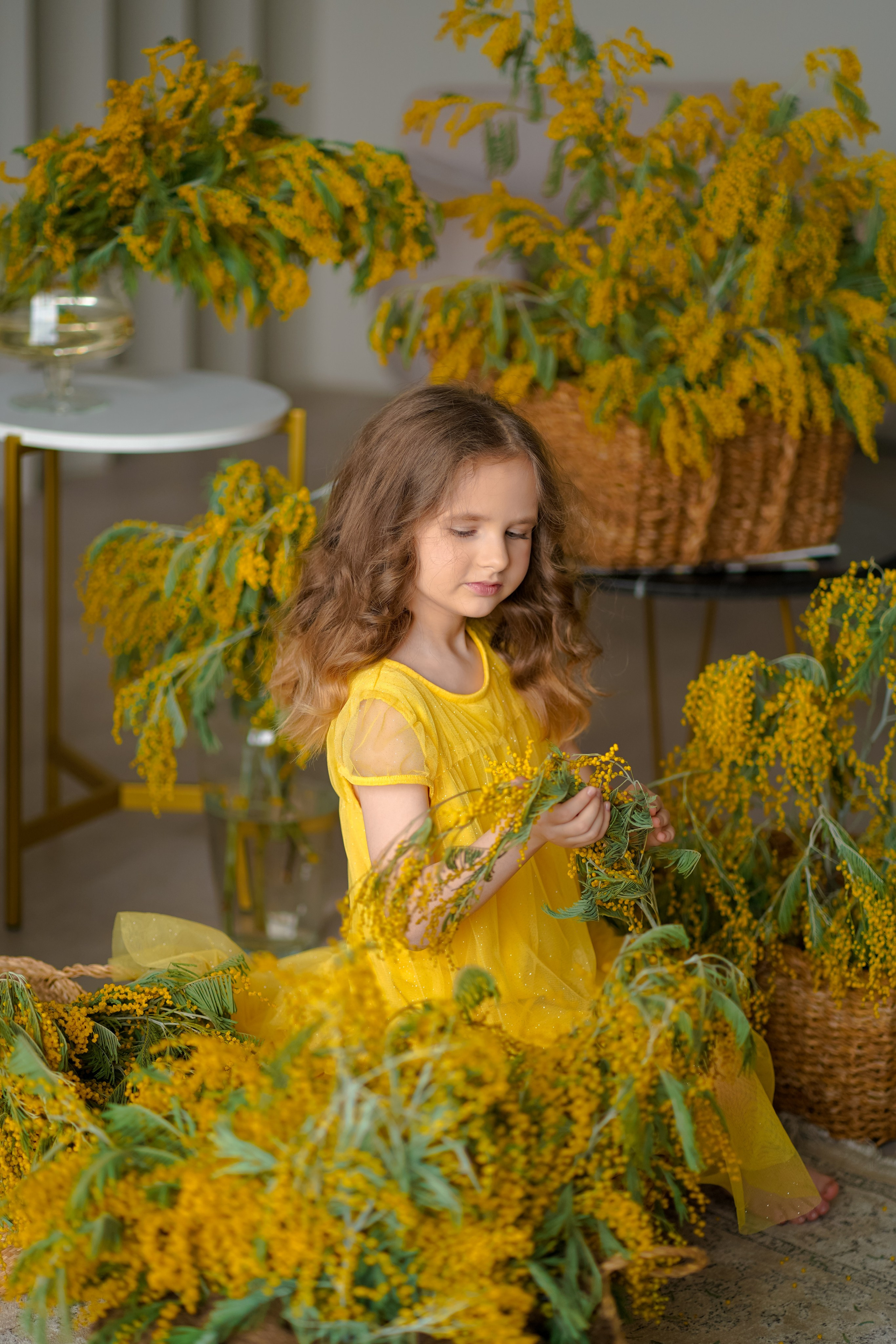 Мимоза. Фотограф Татьяна Митрофанова