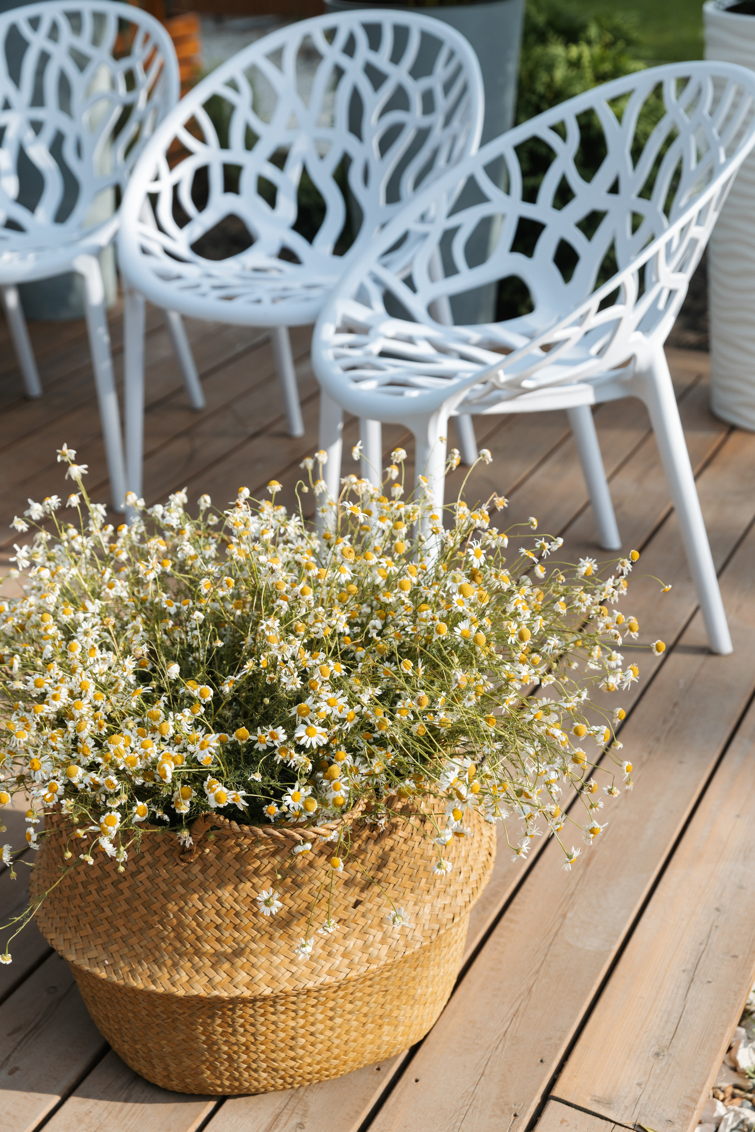 Ocean Hotel. Фотограф на Юге России