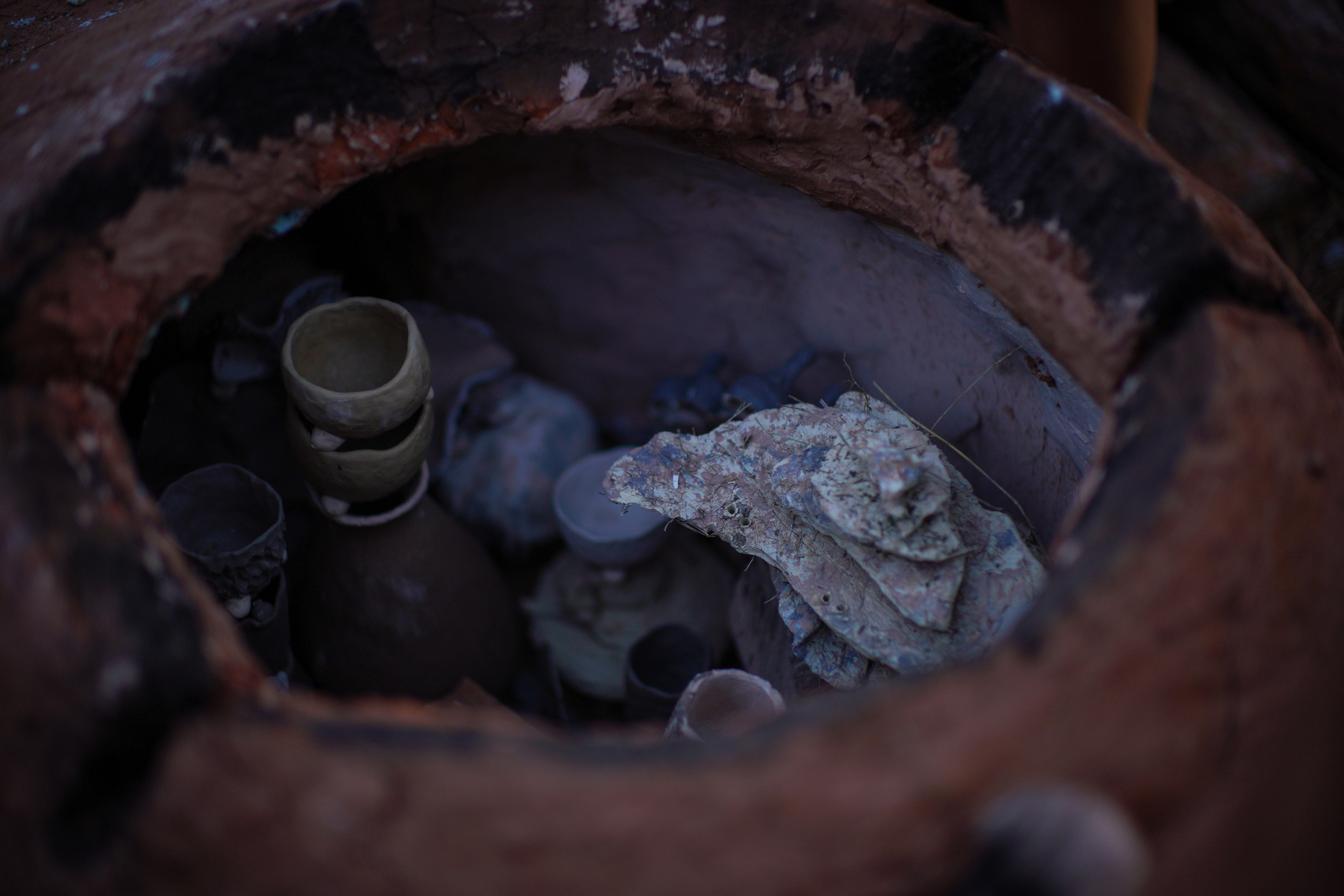 Wild fire 2024 — Дикий огонь 2024