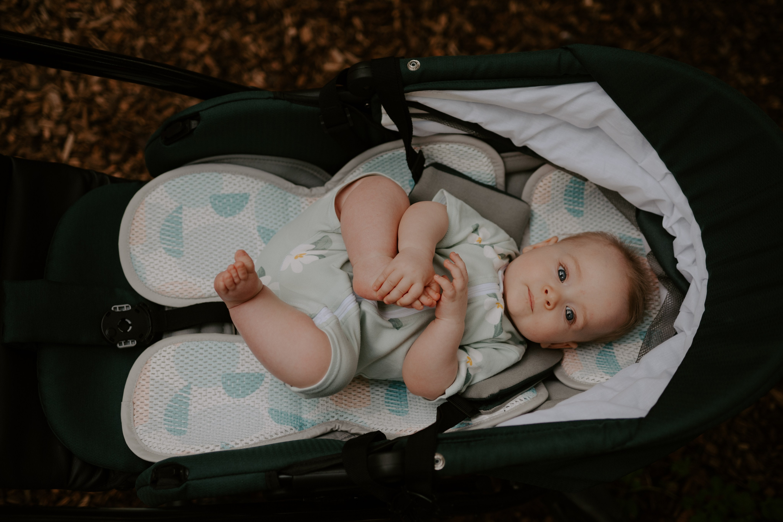 Пикничок втроем. Свадебный, репортажный и семейный фотограф в Москве Арина Зак
