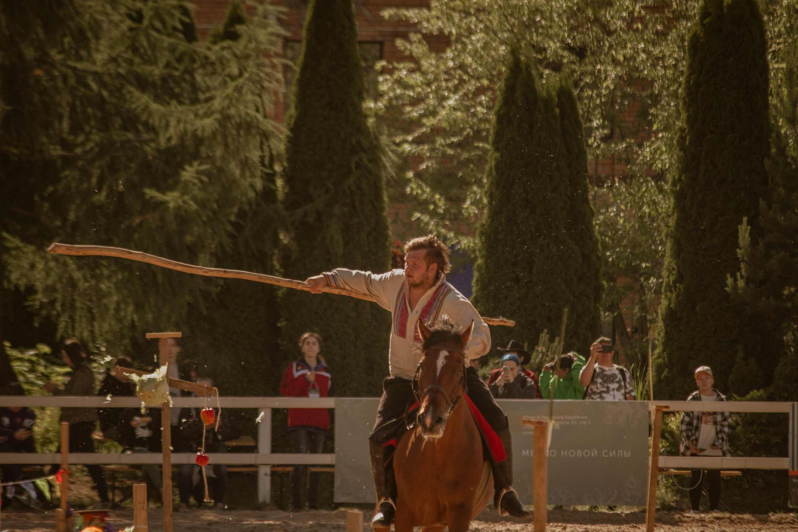 ИППОСФЕРА — Международная конная выставка. Создадим шедевр? Виталина и её фотоискусство