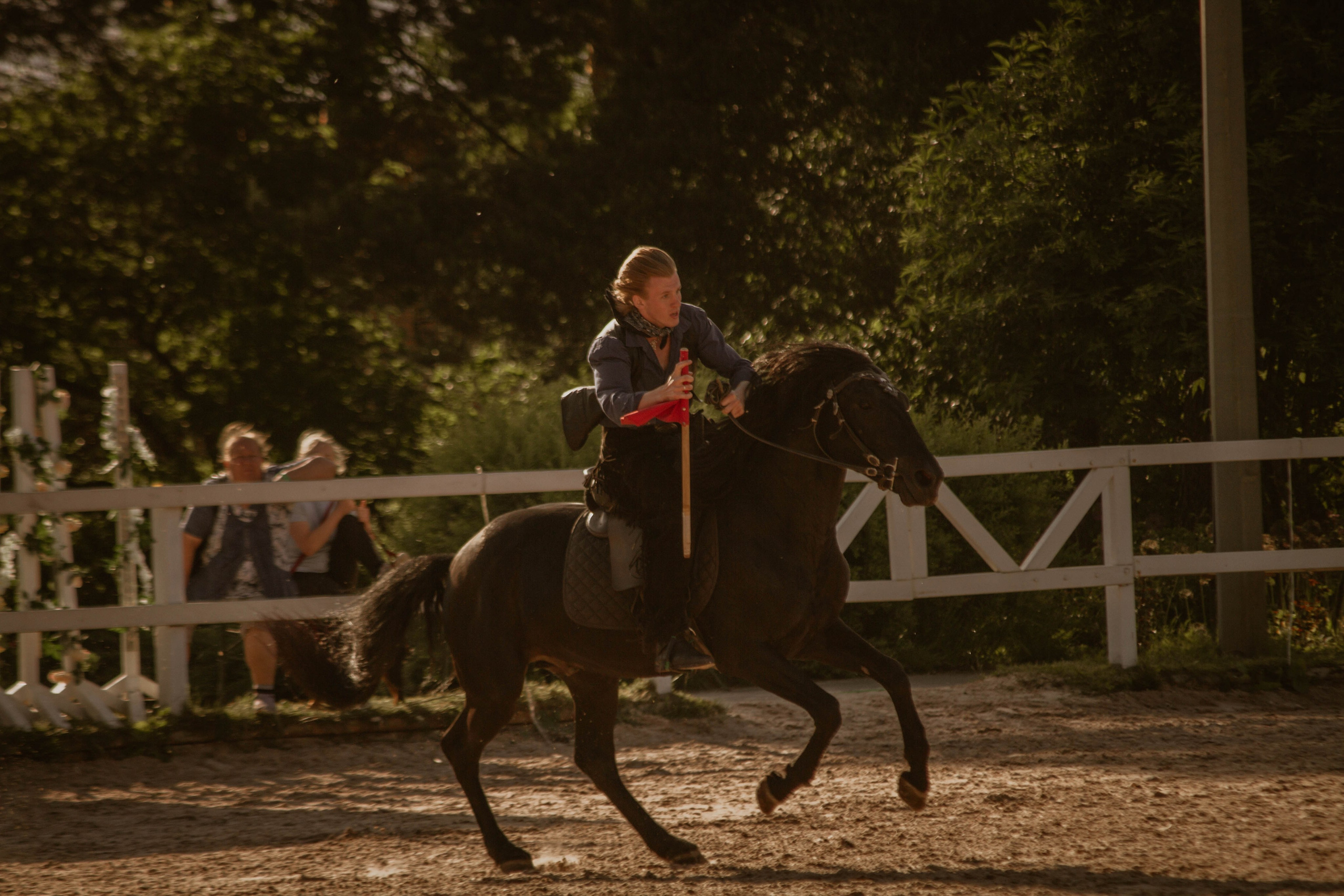 ИППОСФЕРА — Международная конная выставка. Создадим шедевр? Виталина и её фотоискусство