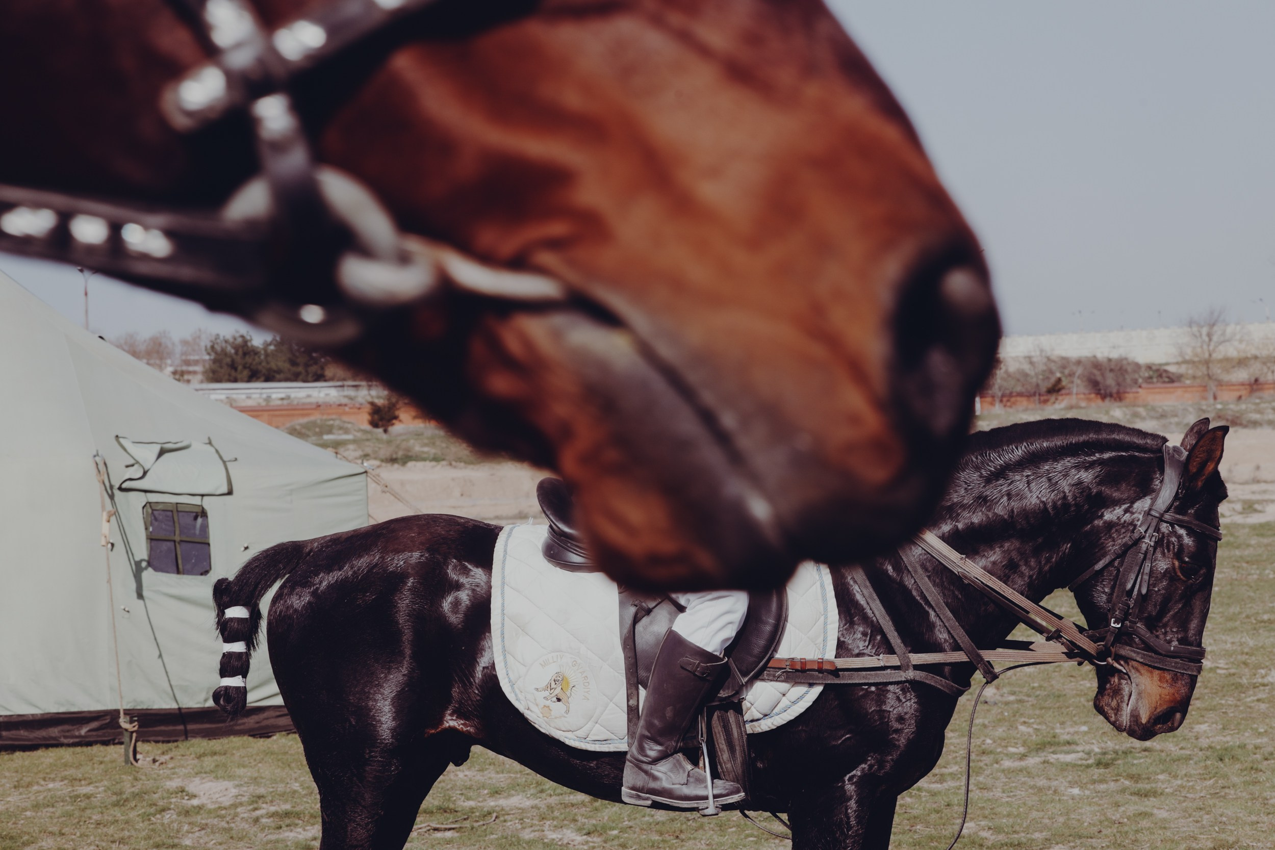 Uzbekistan daily. Commerce & art photographer