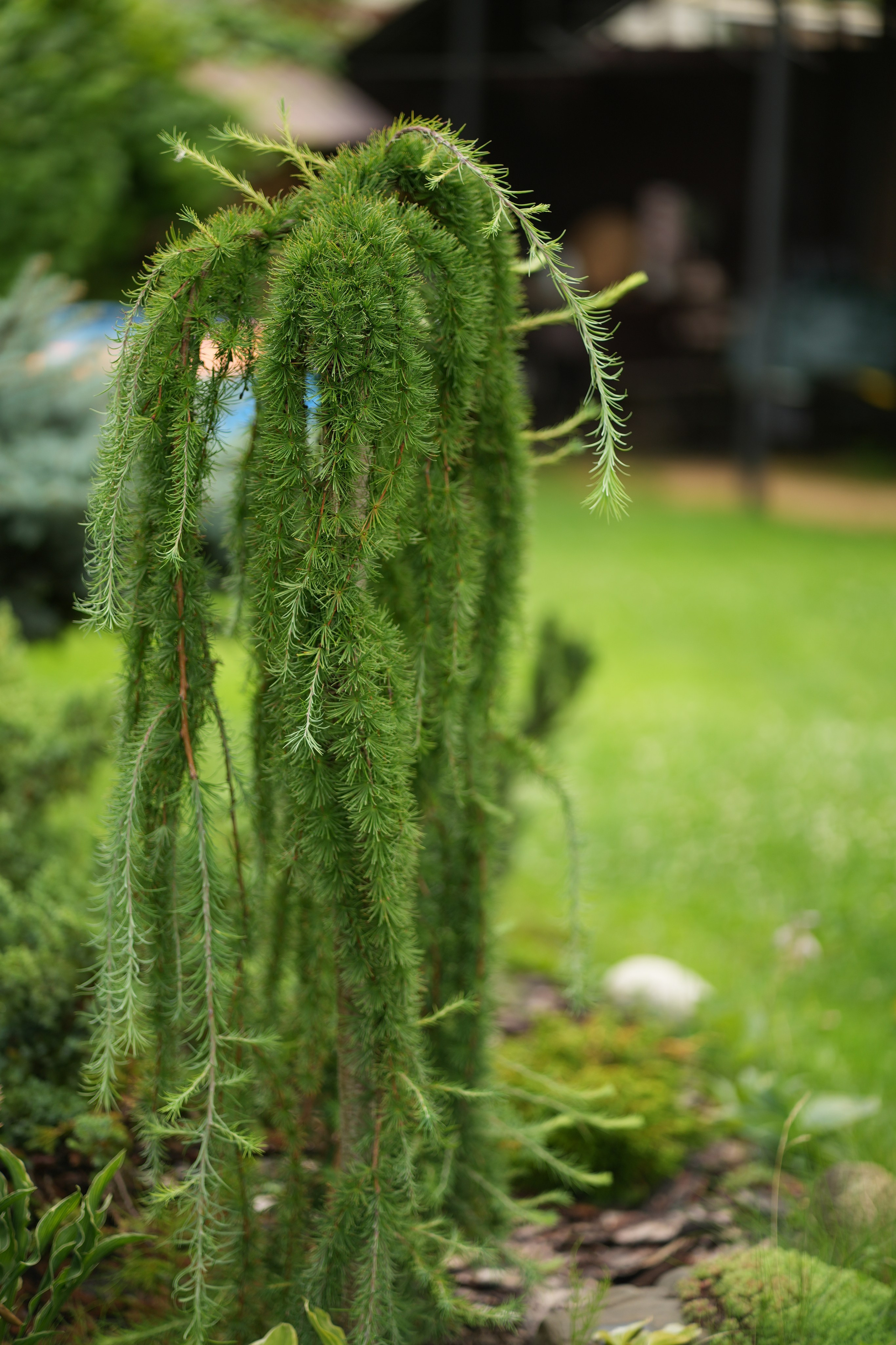 Час 1500 пример фотосессии пакет «ФОТО НА ПАМЯТЬ» (без обработки). Фотограф Нижний Новгород Татьяна Кэйод