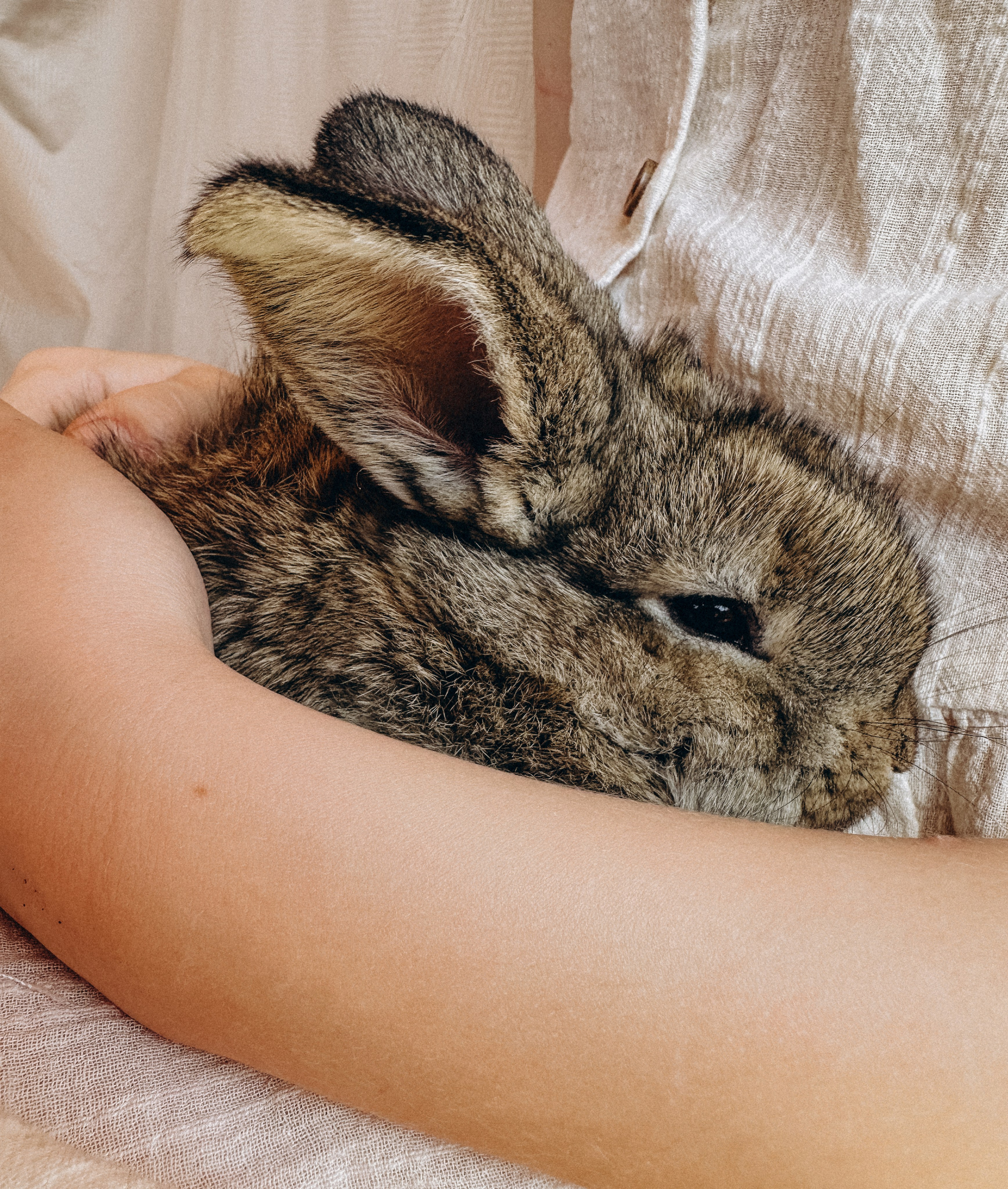 УШАСТАЯ ИСТОРИЯ…. FotoTanya. Раменское/Жуковский/Бронницы