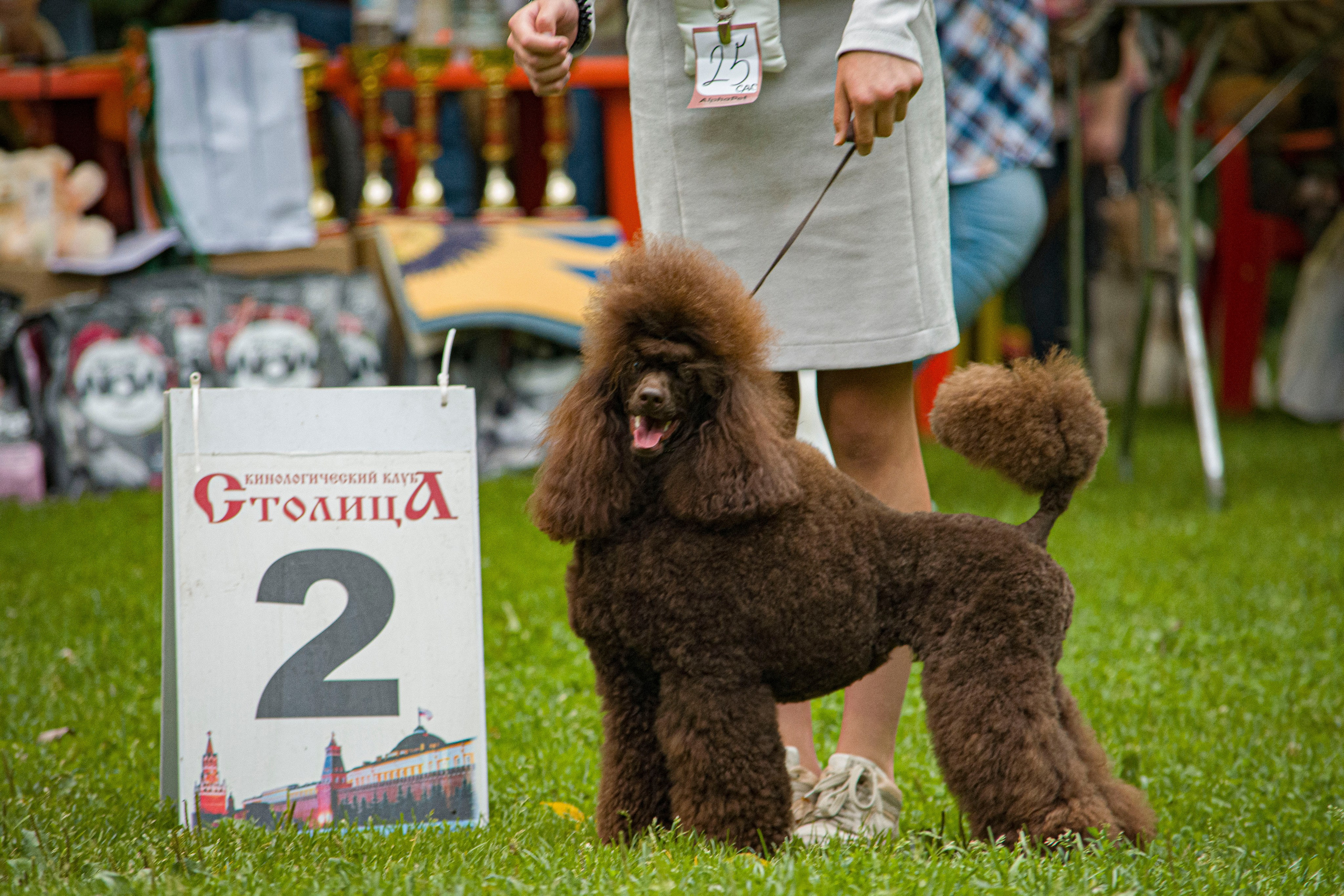 Reportage & Events. Фотограф Евгения Саботаж в г. Москва