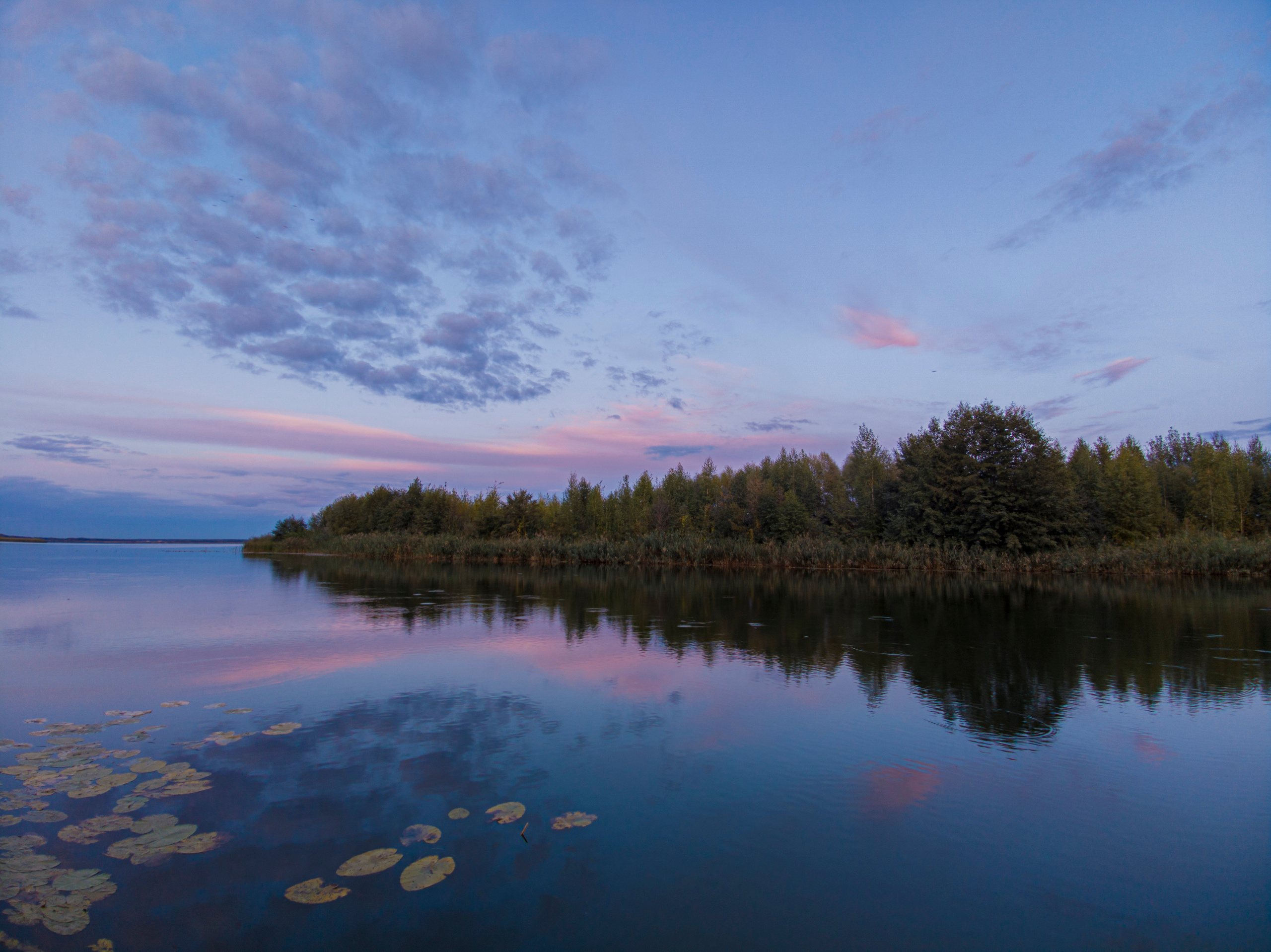 xiaomi, mi9, xiaomi mi9, мобильное творчество