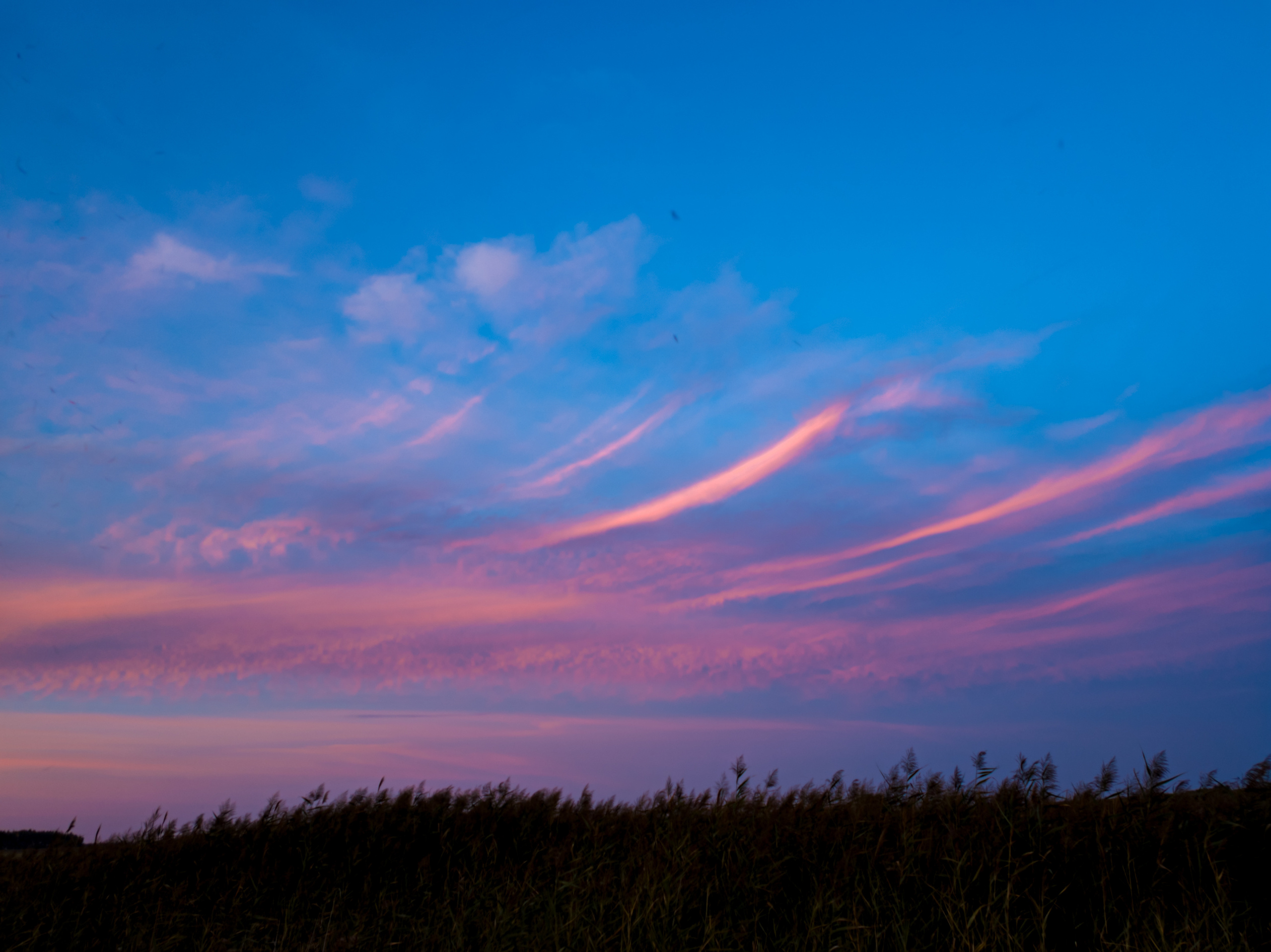 Фотографии небо природа закат. Фотограф Тамара Нижельская Воронеж