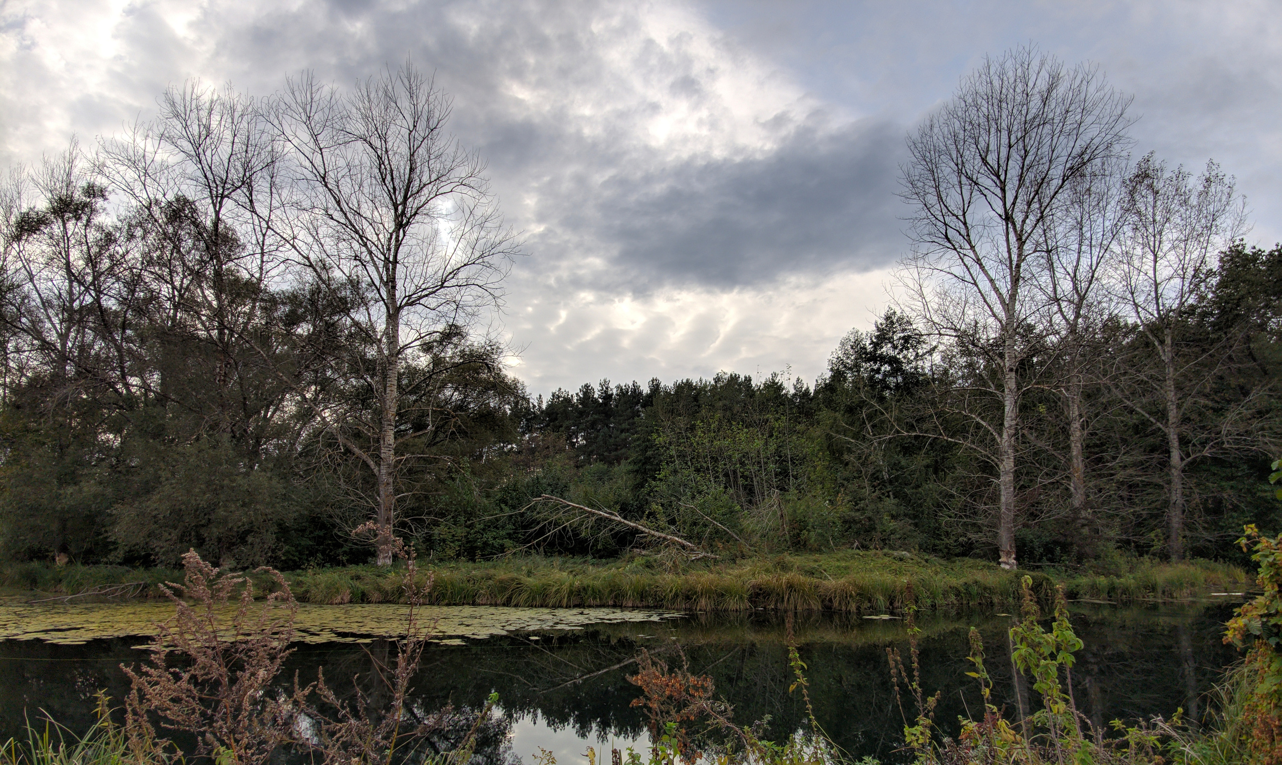 xiaomi, mi9, xiaomi mi9, мобильное творчество, коряжник, рыбалка, лес, река, тавровка, масловка, небо, осенние зарисовки, дождь, тина, ил, осень, 