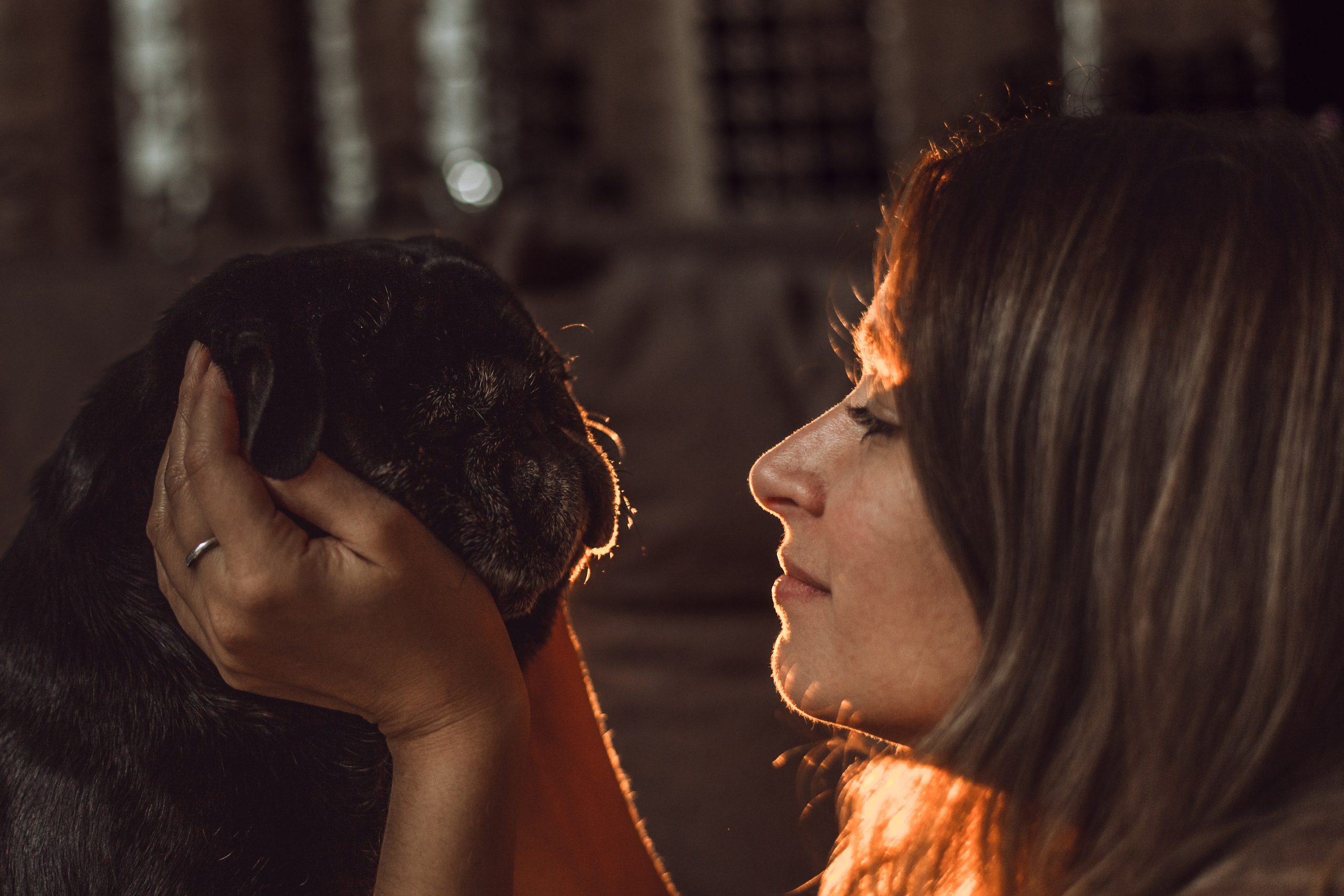 Оля, Харви, Луис. Фотограф-анималист Татьяна Степанова