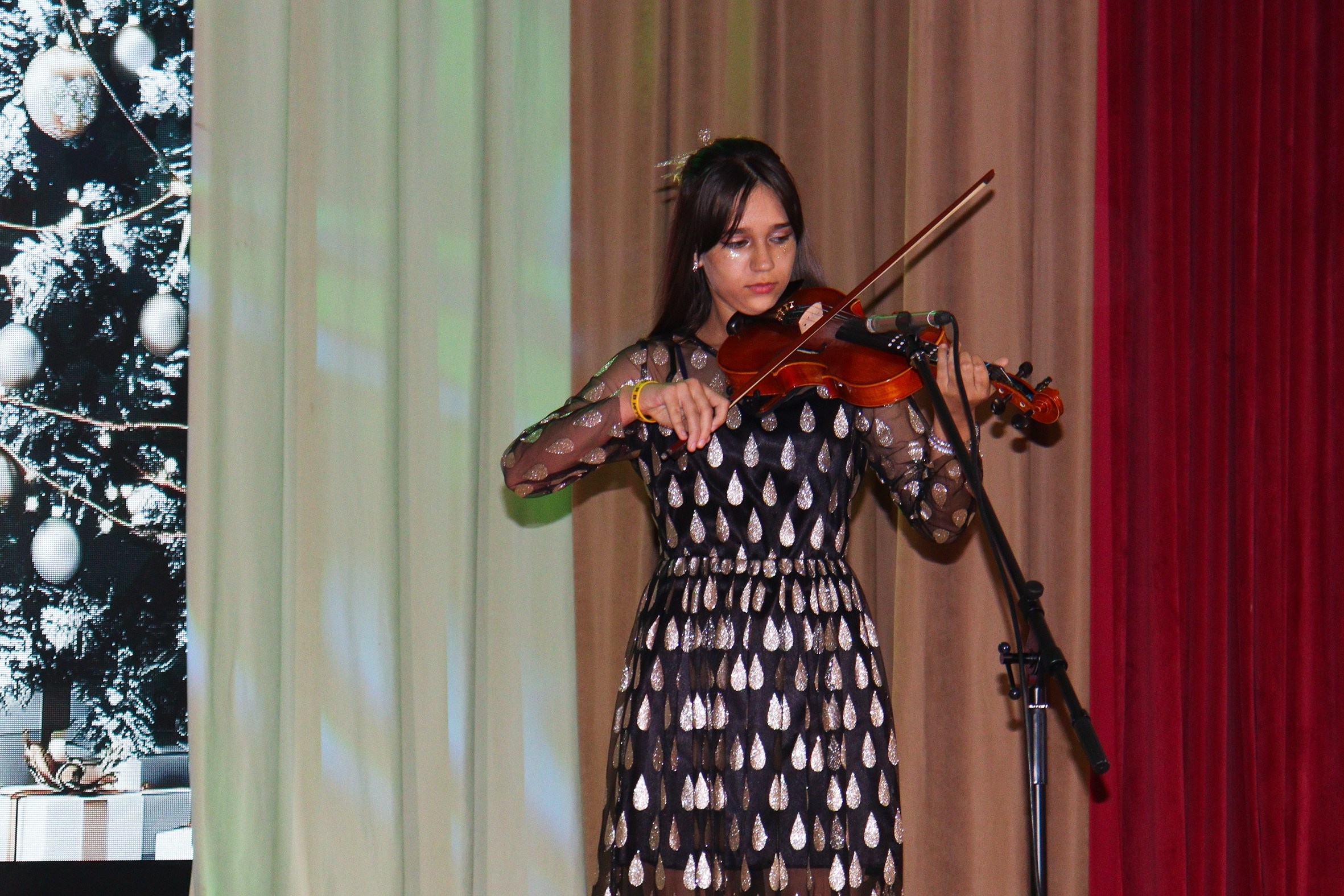 Новогодний концерт Шишли-Мышли