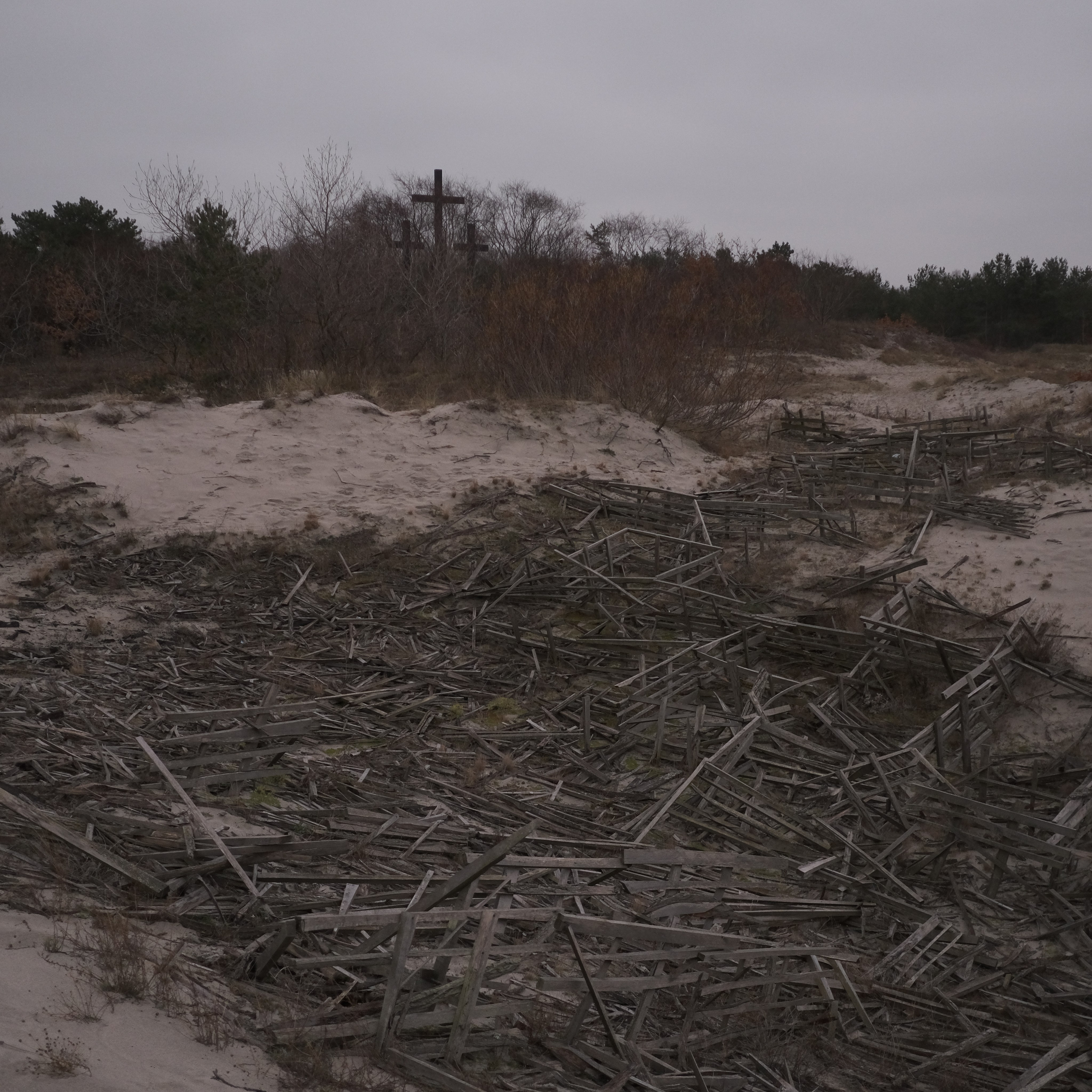 Калининград. LIYALEE PHOTO